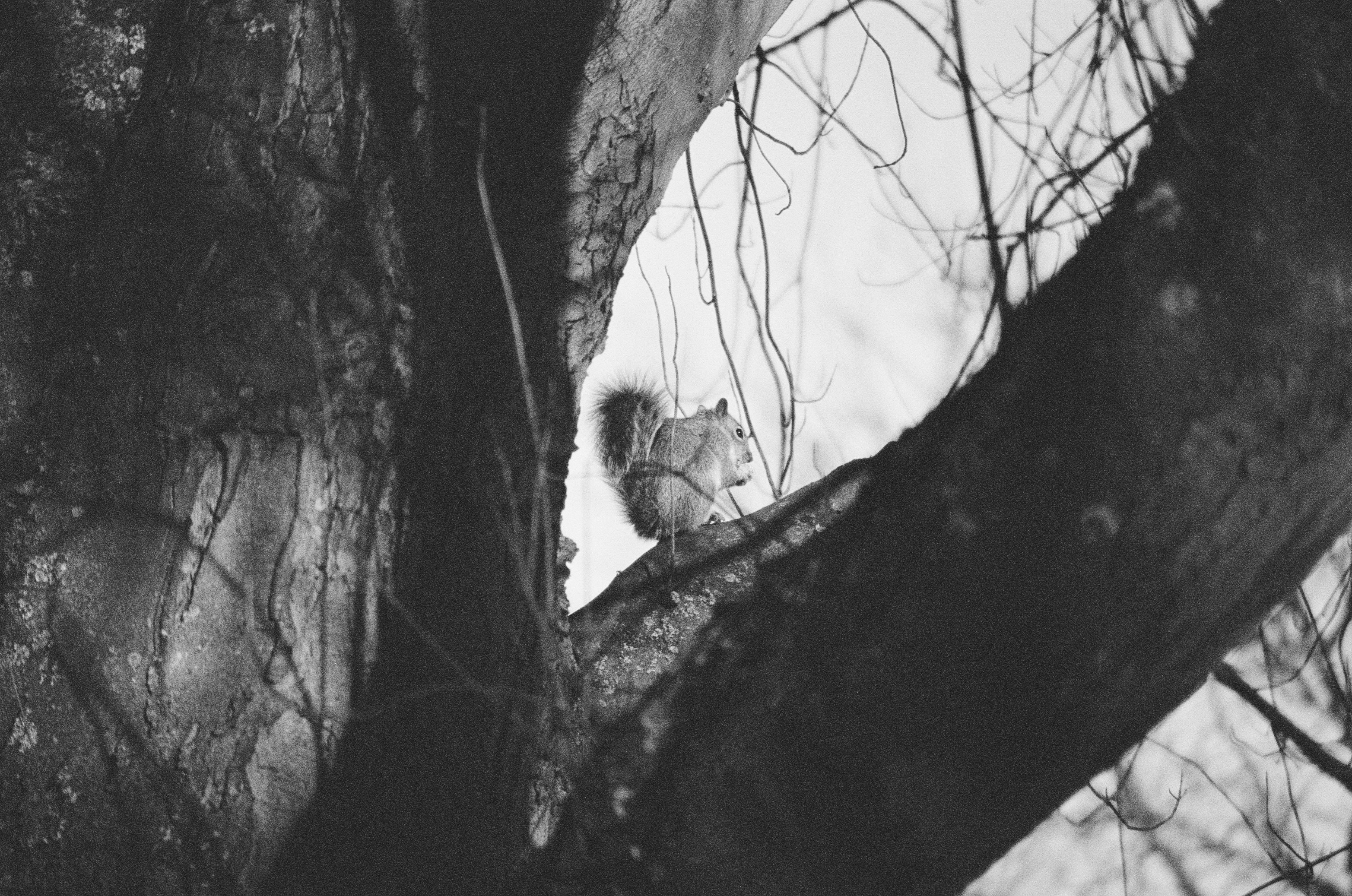 Photo by paulschnuerle