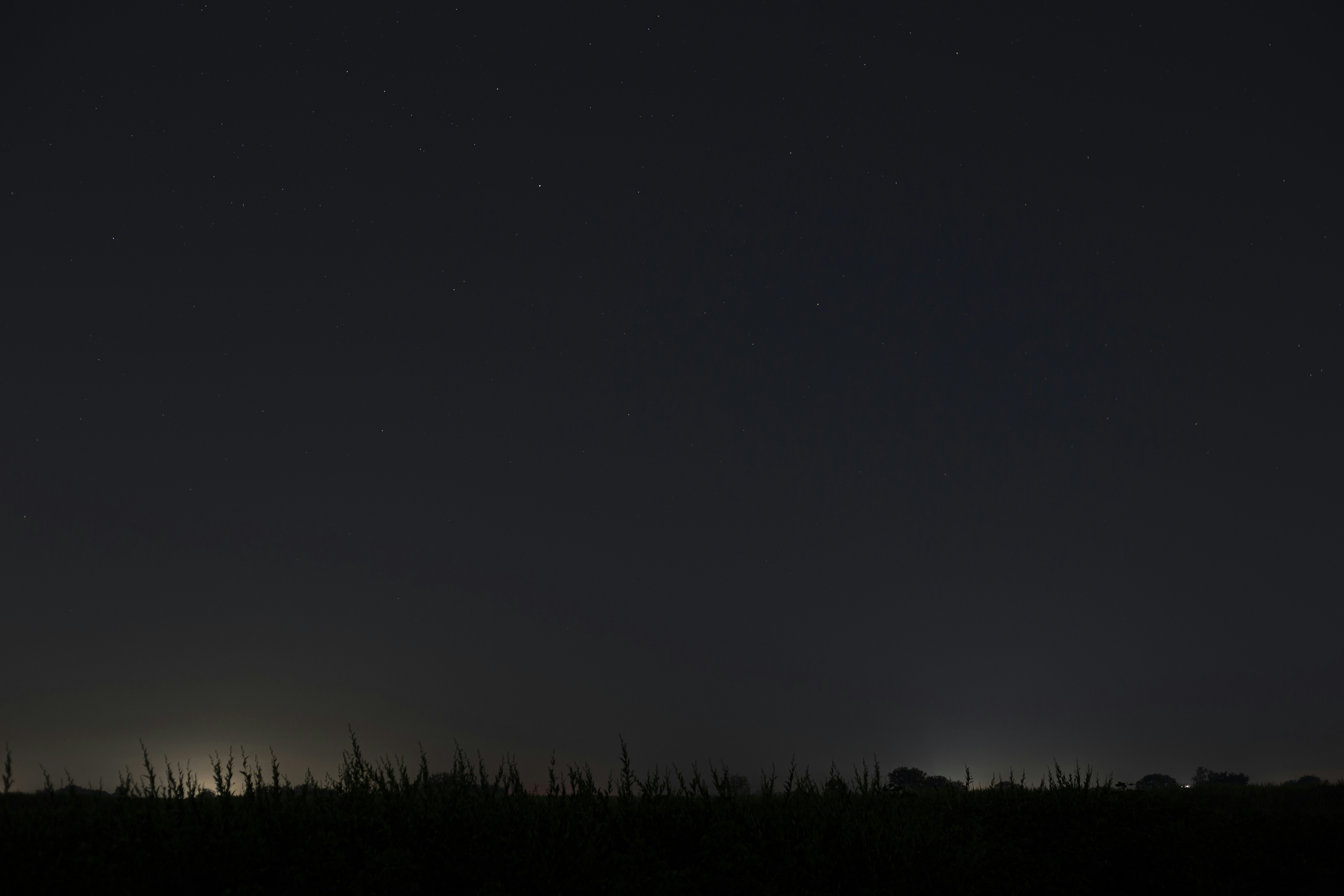 Photo by lanirudhreddy