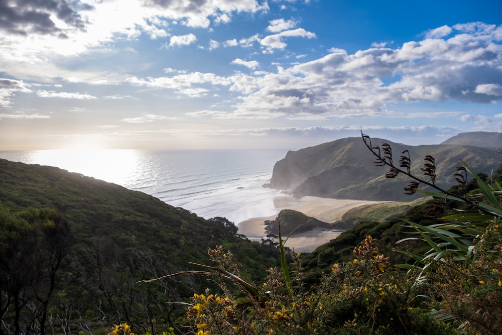 a view of a beach and ocean