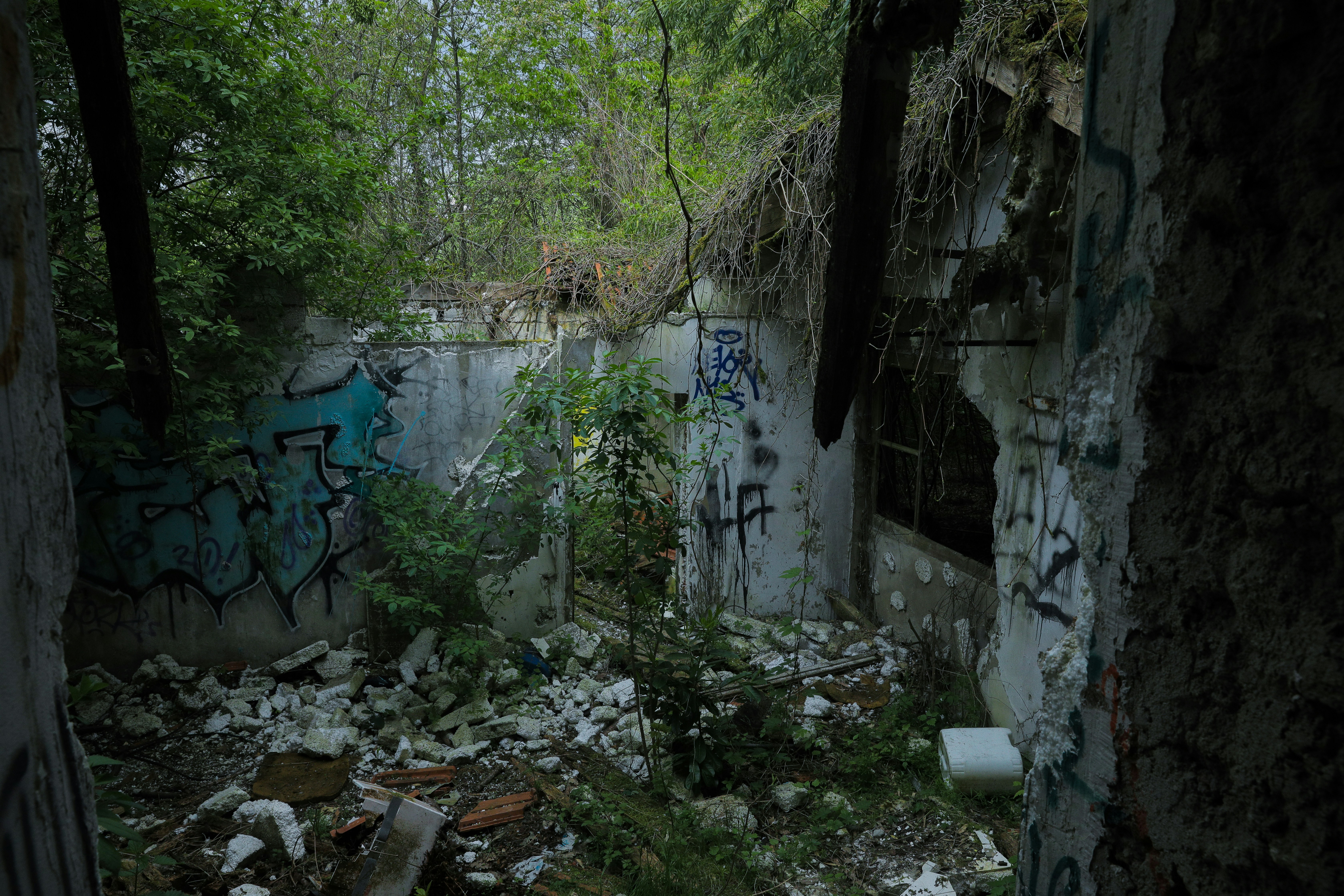 Photo by florian_delee