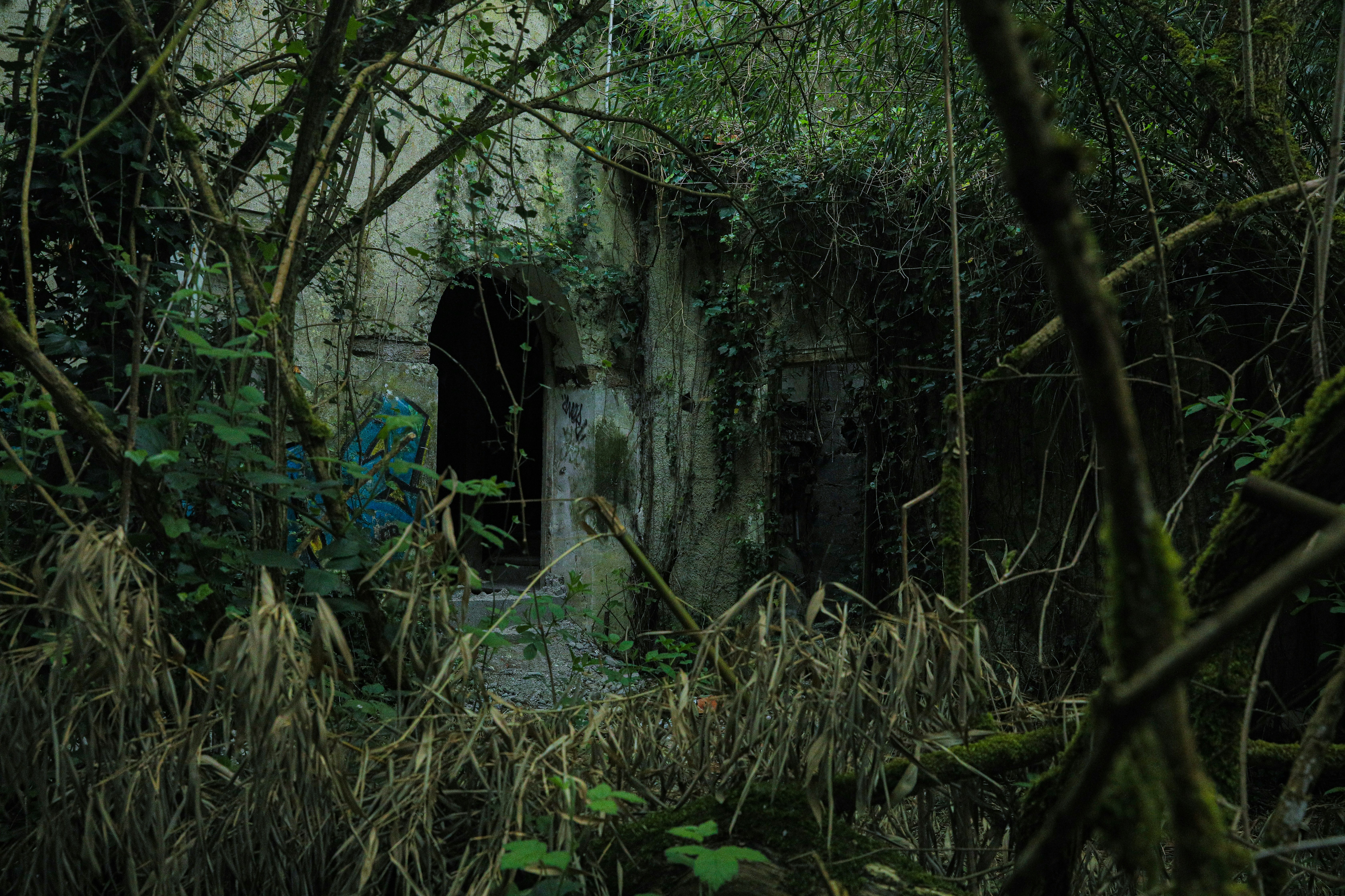 Ruínas místicas em cenário natural