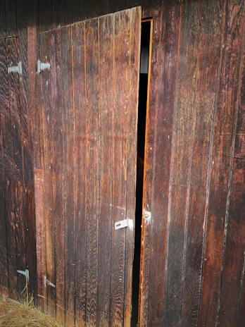 An aged wooden barn door with peeling paint, framed by oxidized metal hinges.