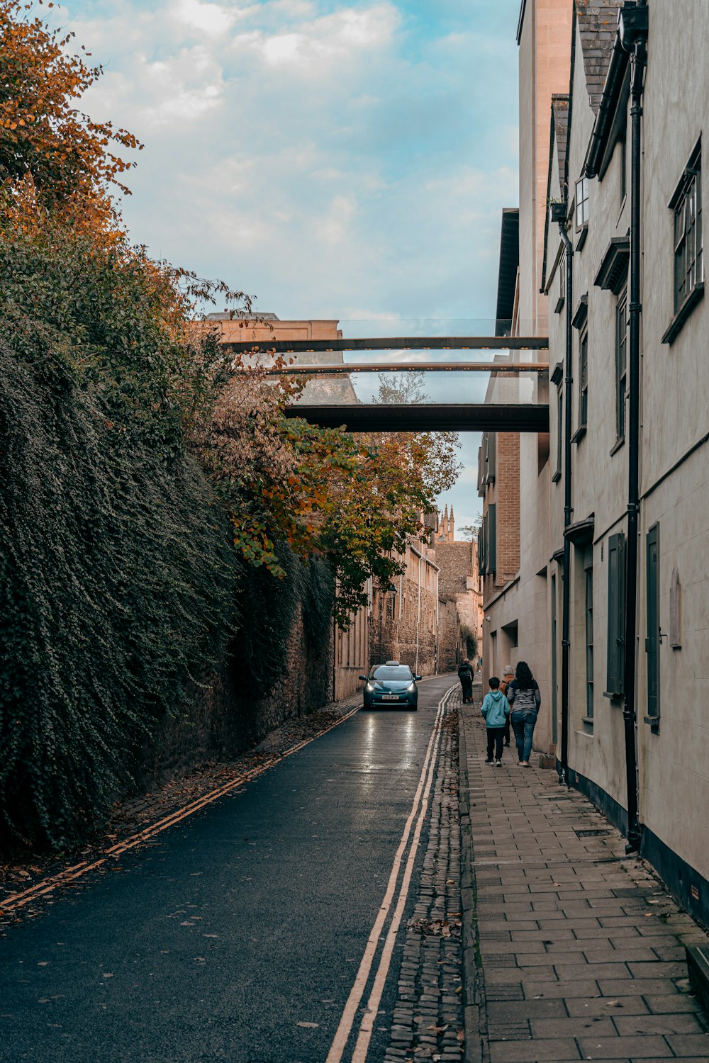 a street with a car and trees on the side