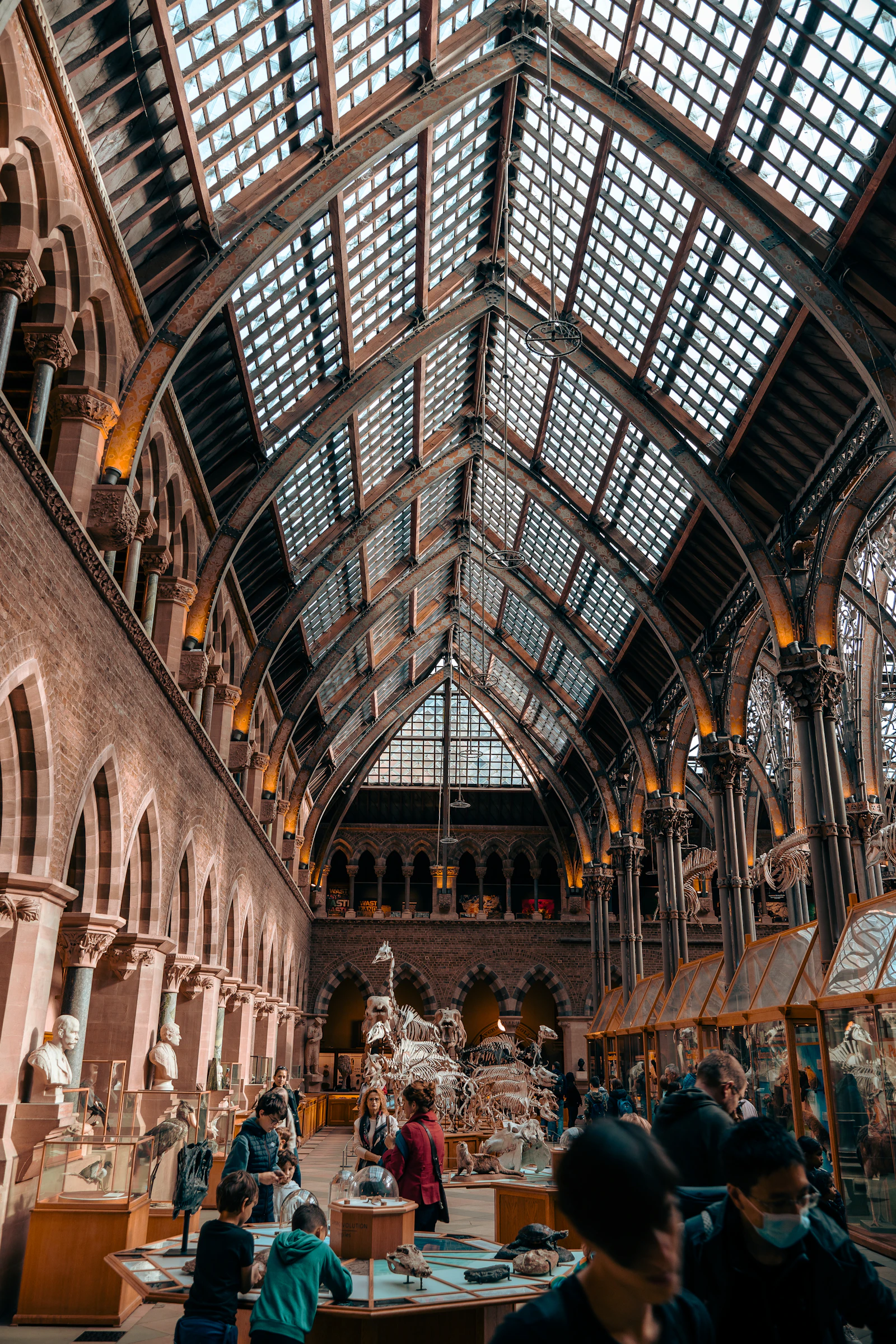 Densely packed museum display cases filled with historic artifacts