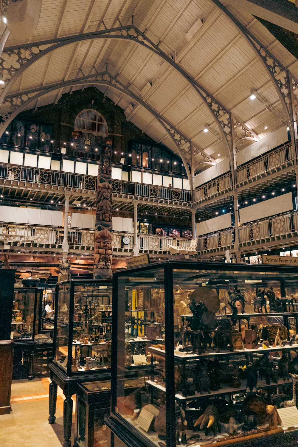 a large room with many shelves and a large glass ceiling