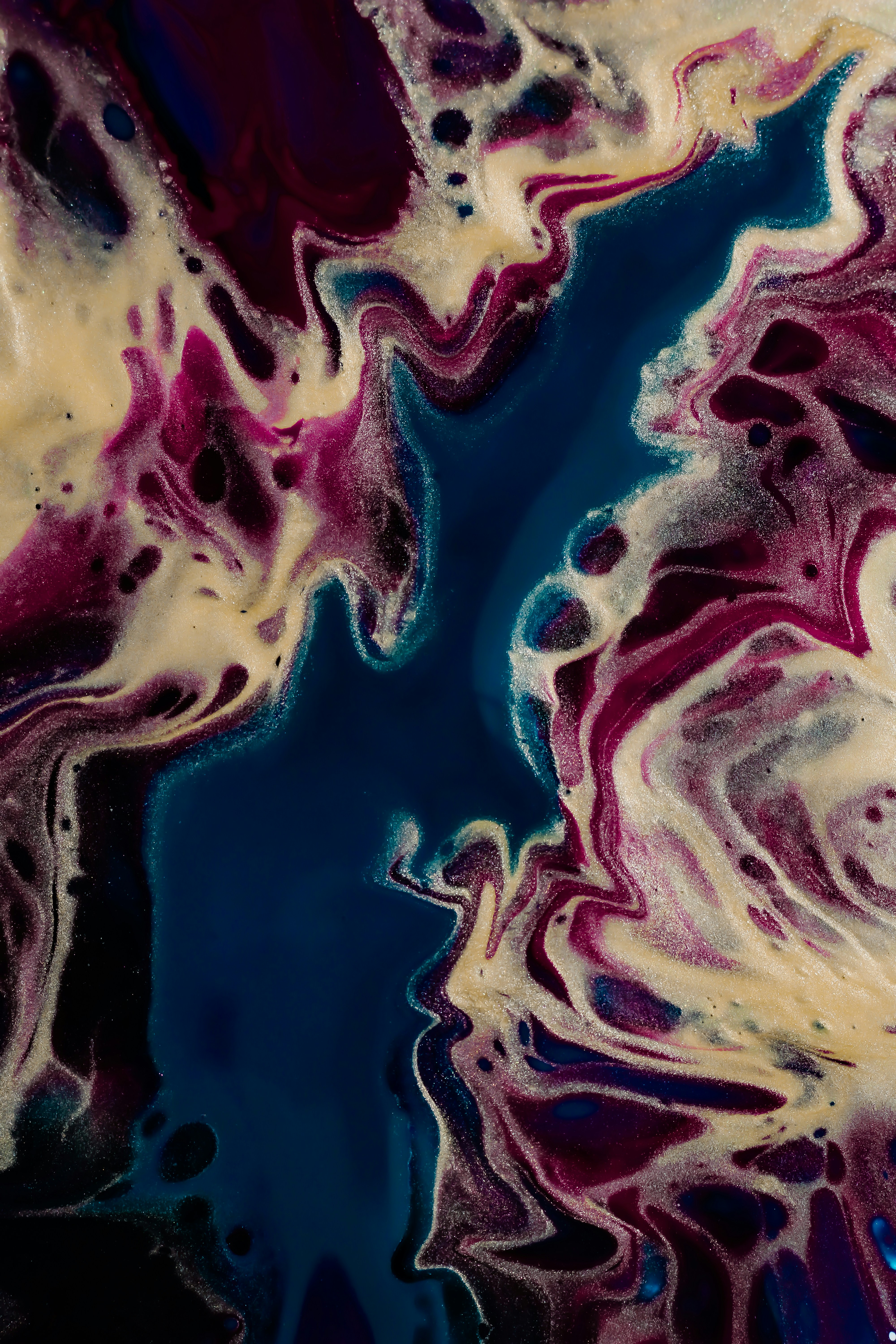 Photo by susan_wilkinson