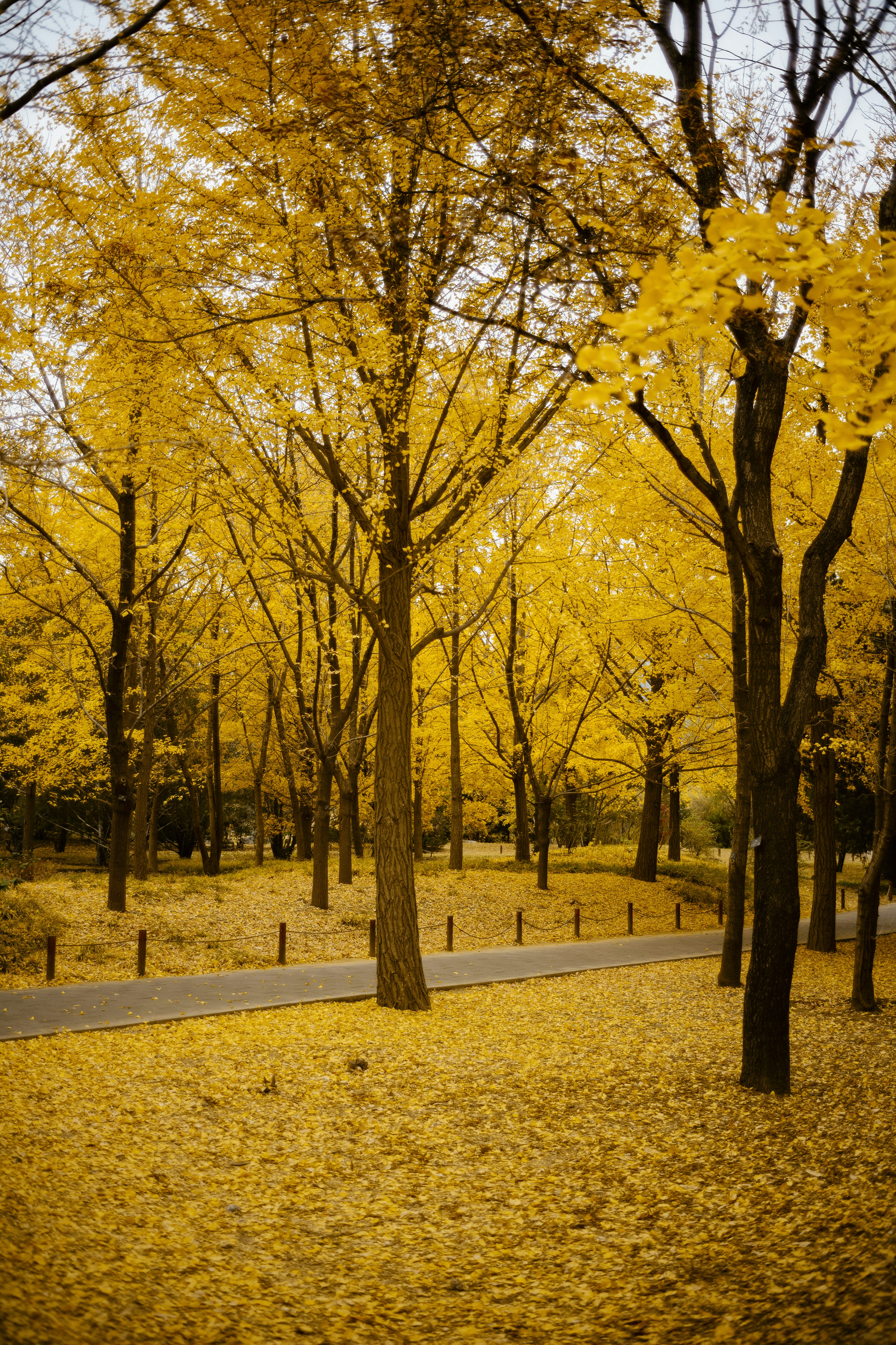 Photo by tommaomaoer