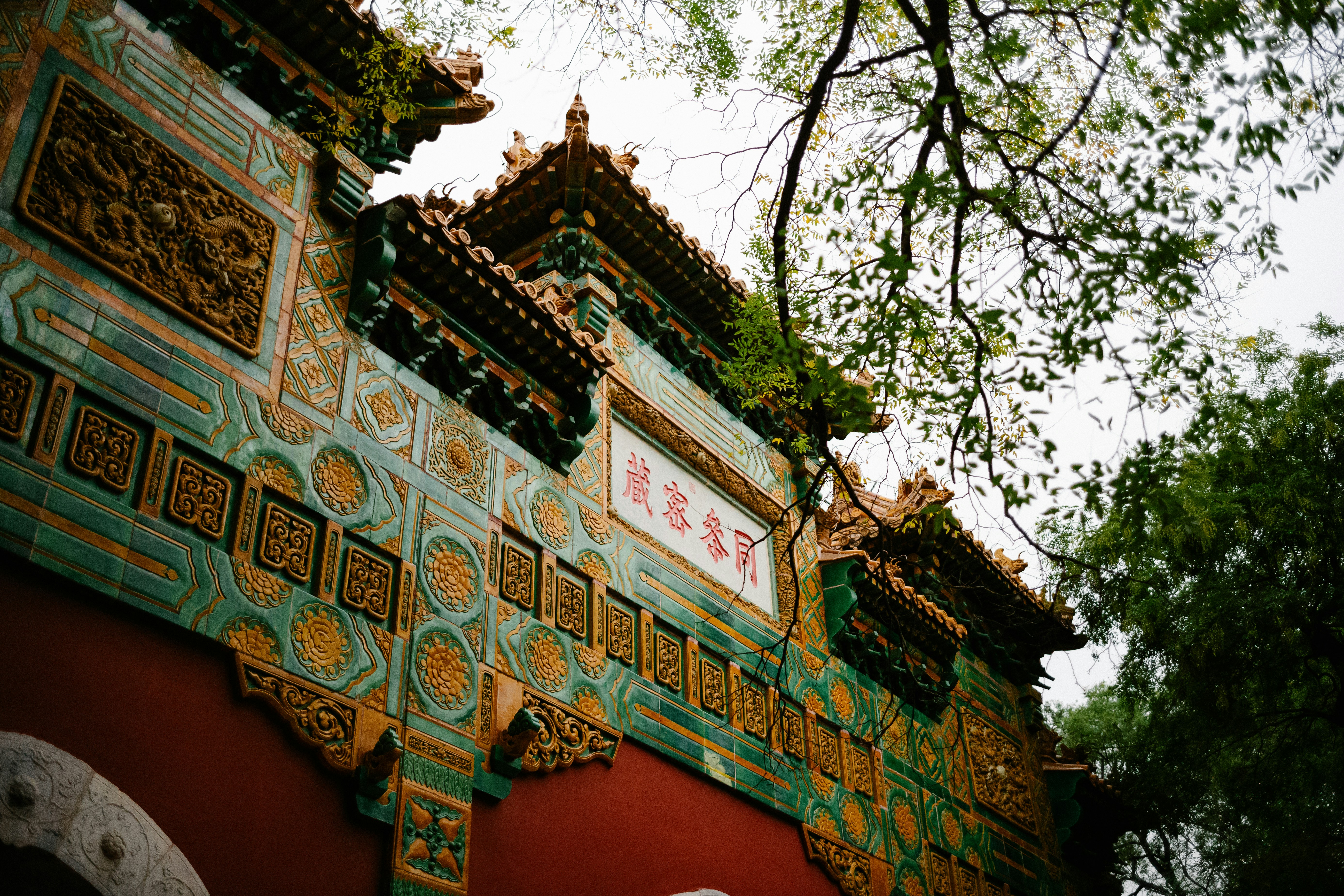 Photo by tommaomaoer