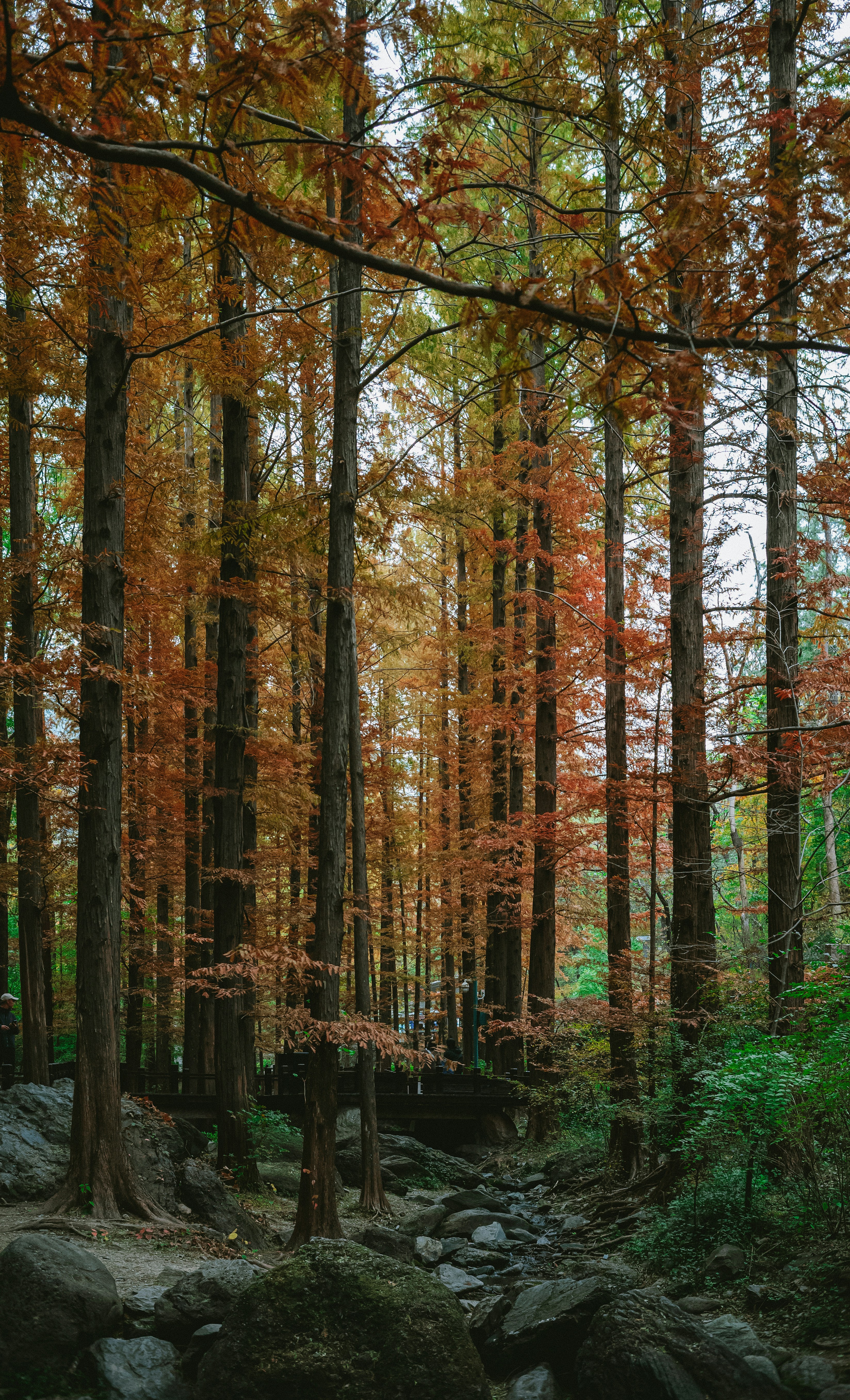 Photo by tommaomaoer