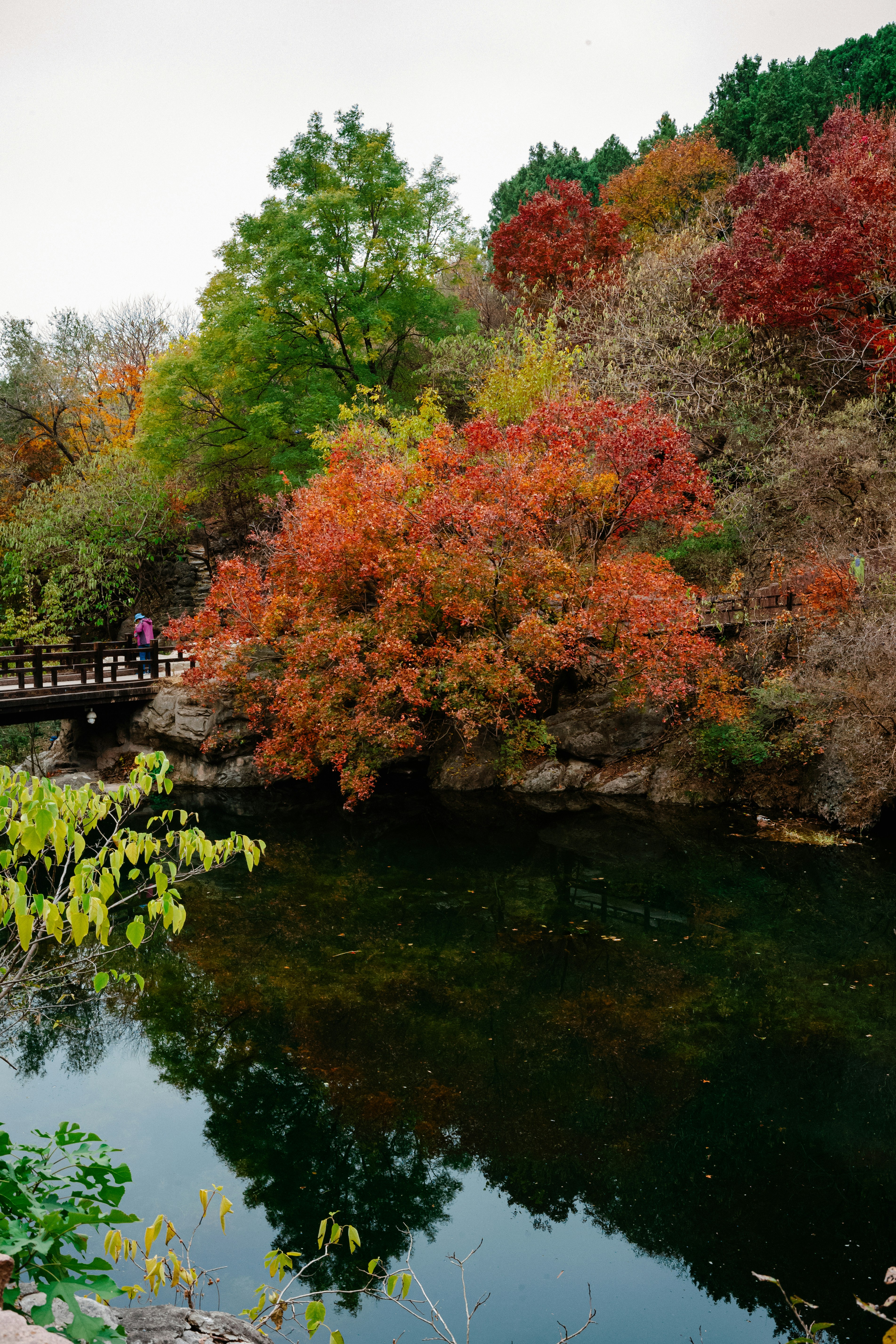 Photo by tommaomaoer