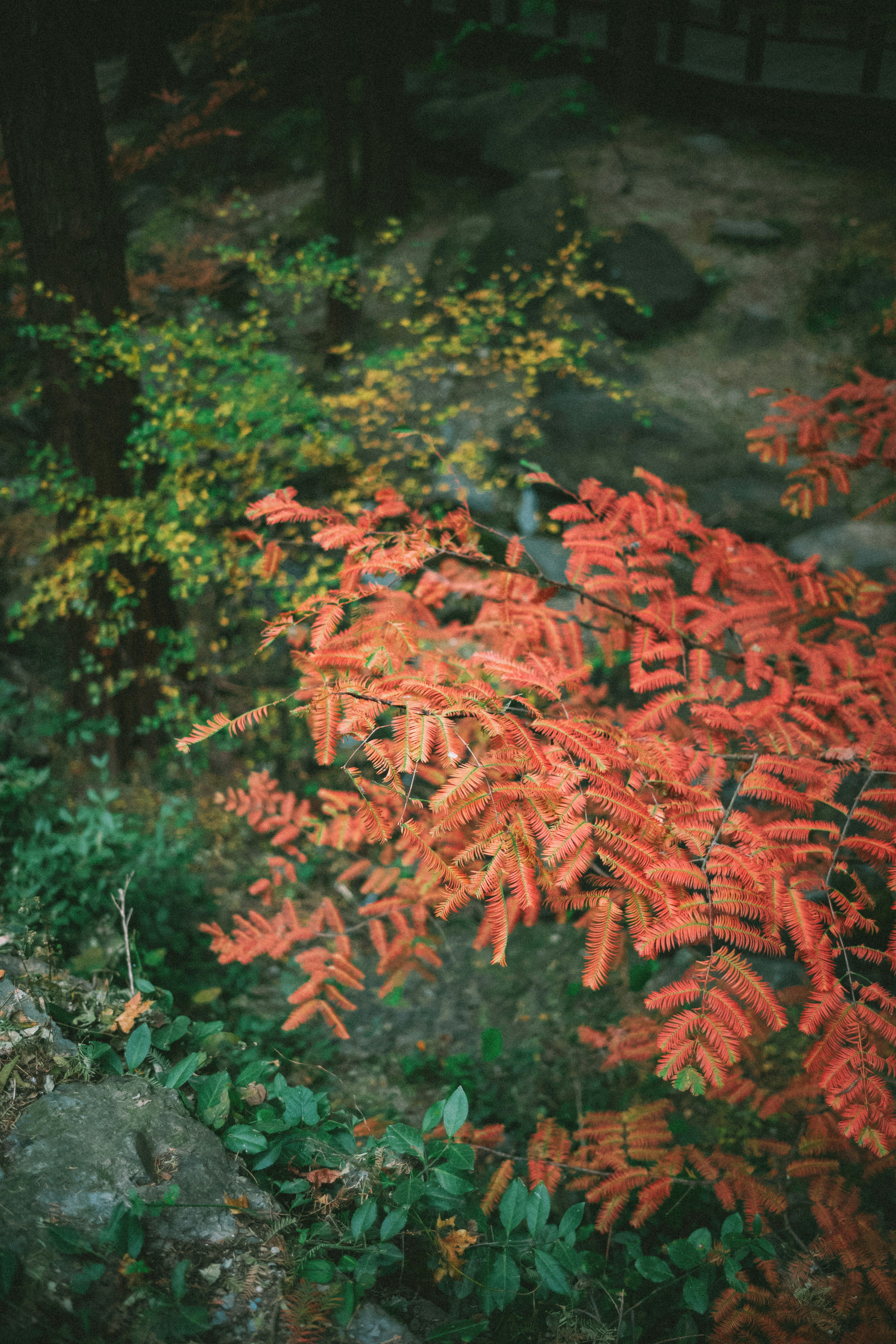 Photo by tommaomaoer