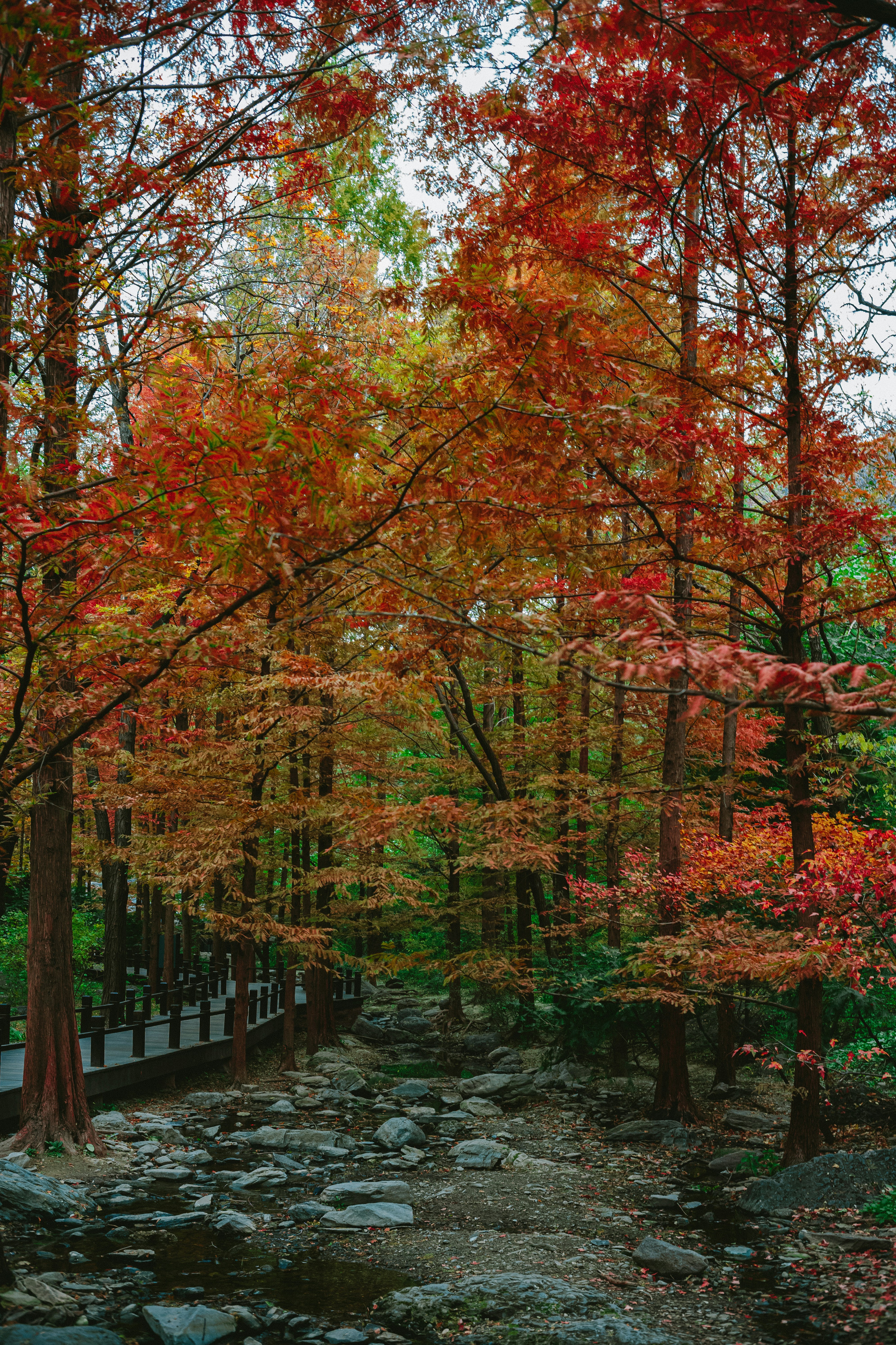 Photo by tommaomaoer