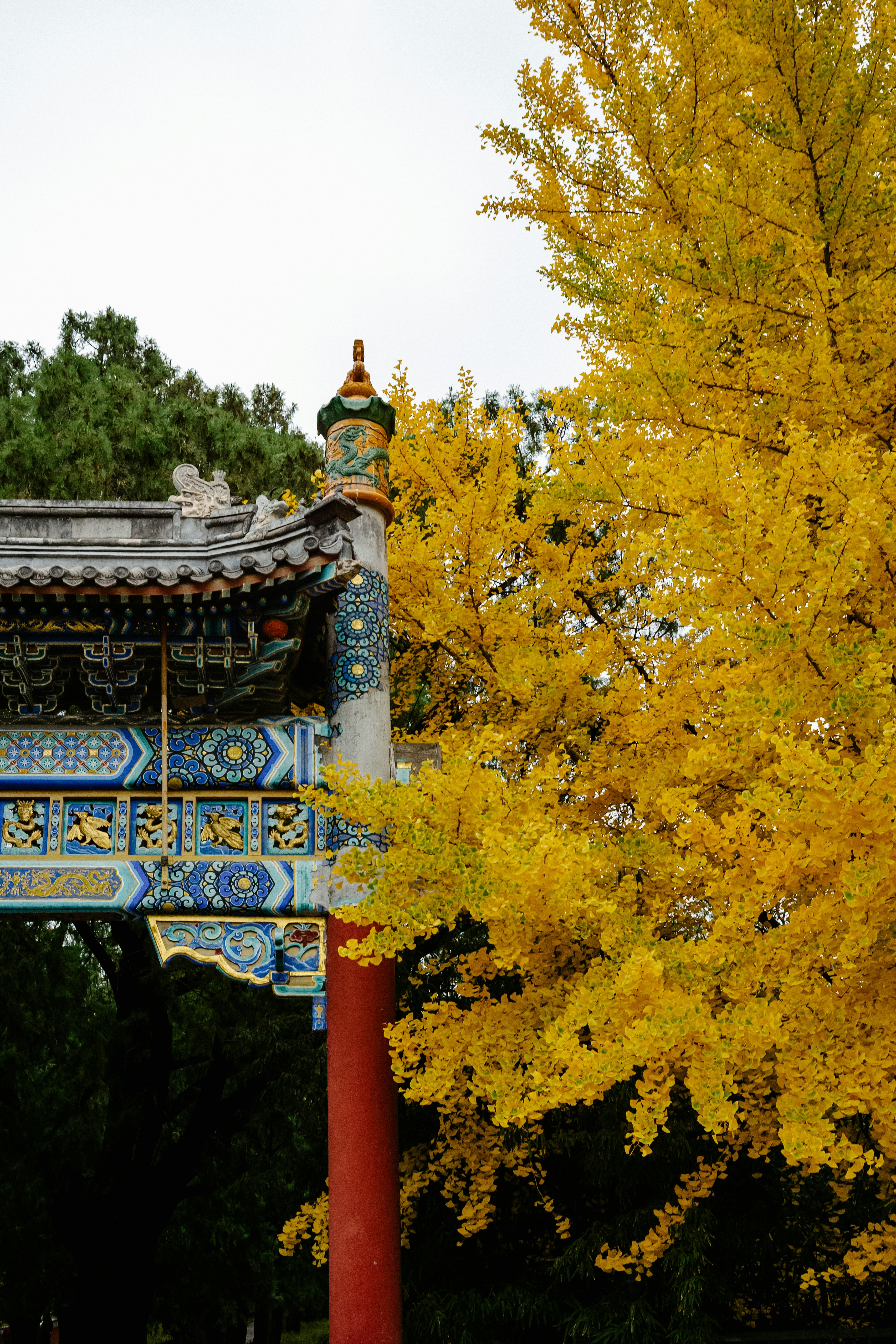 Photo by tommaomaoer