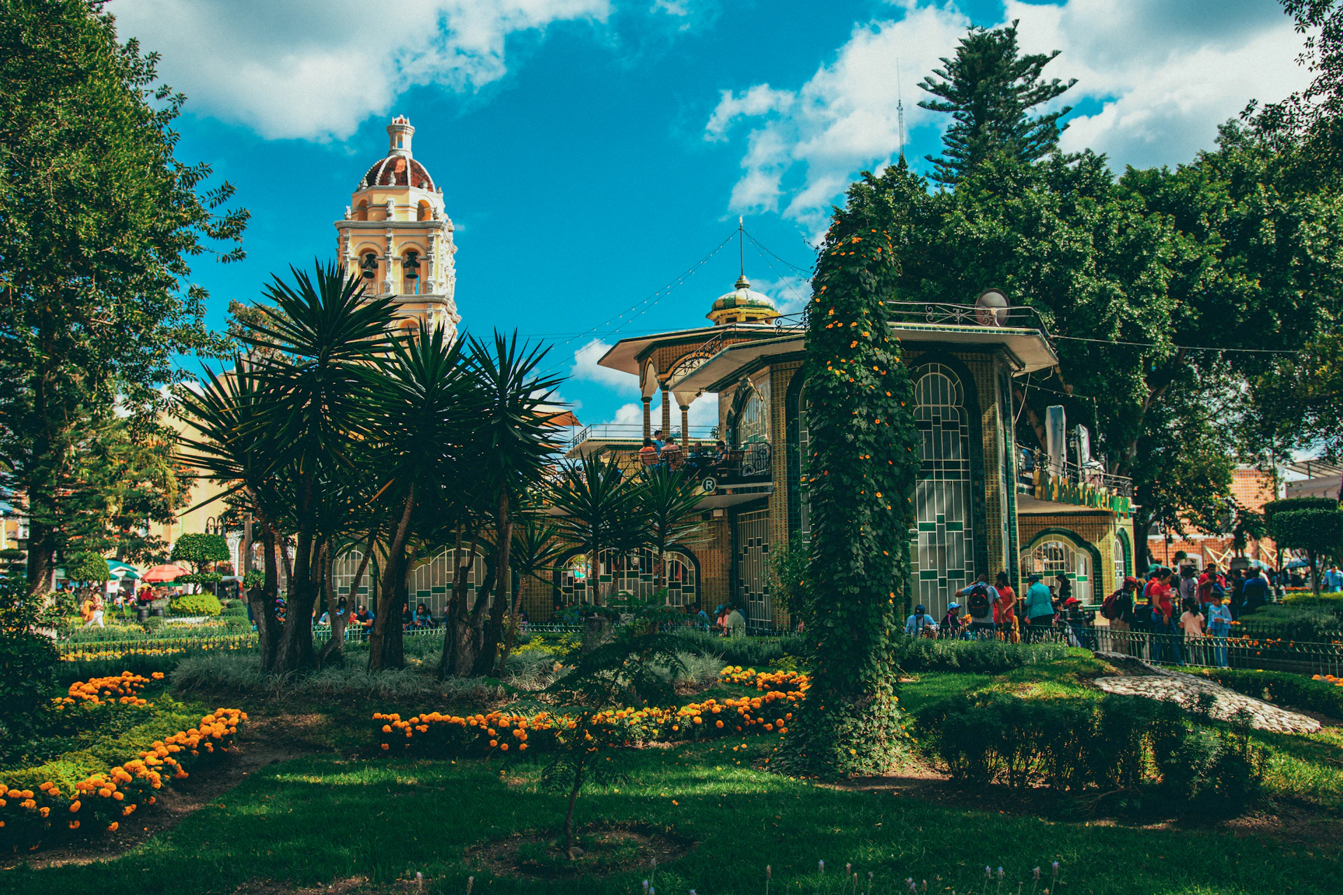 a building with a dome and trees in front of it