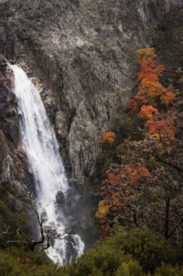a waterfall in a forest