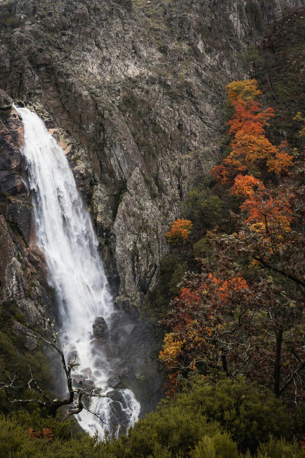 a waterfall in a forest