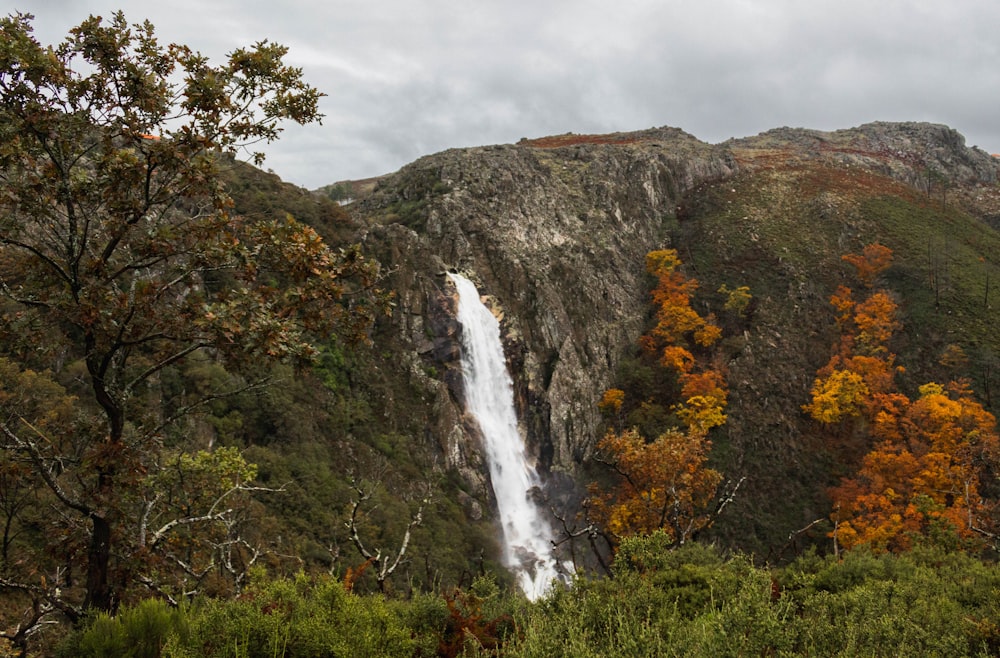 a waterfall in a forest