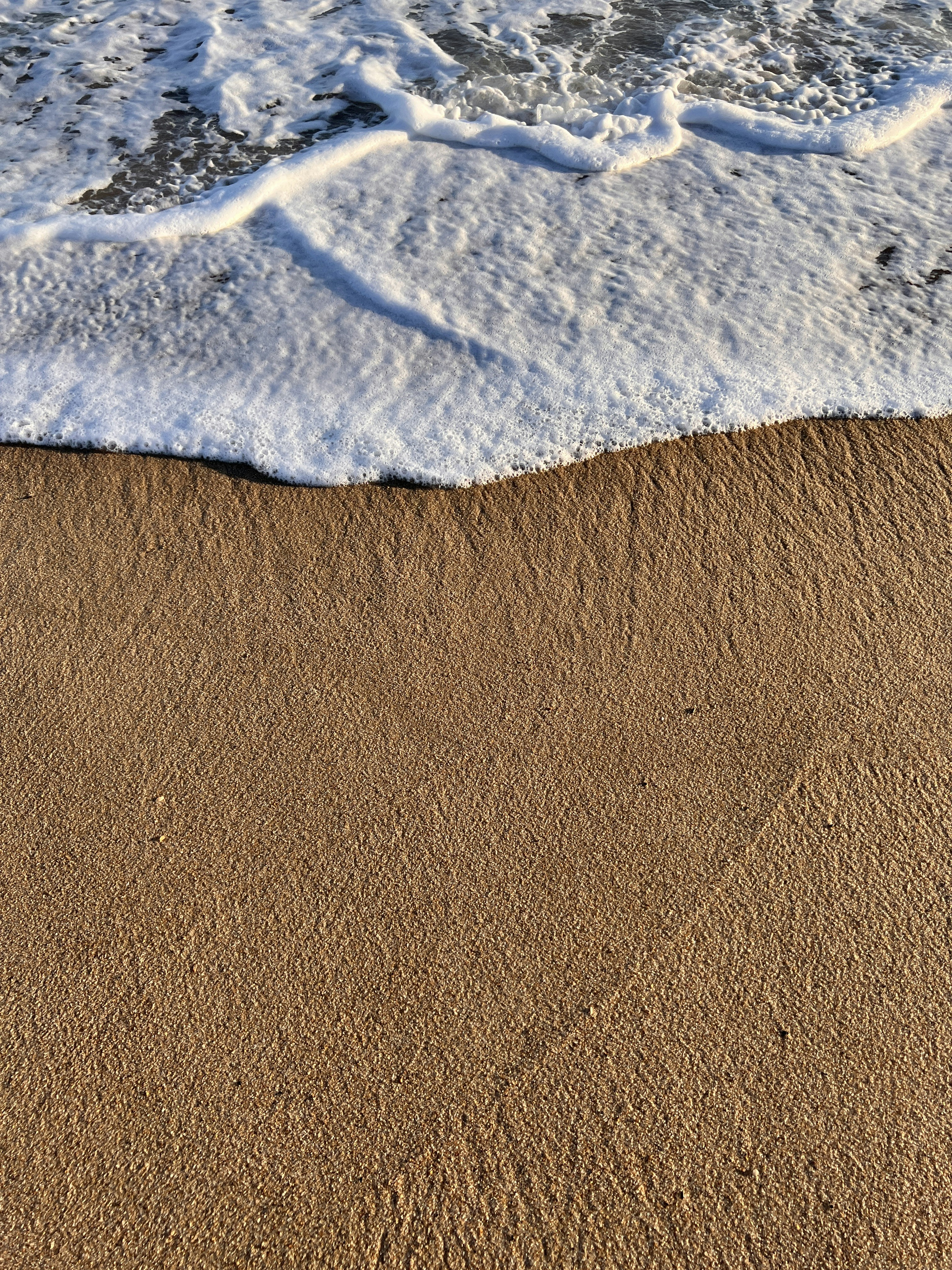 Photo by guccifritos