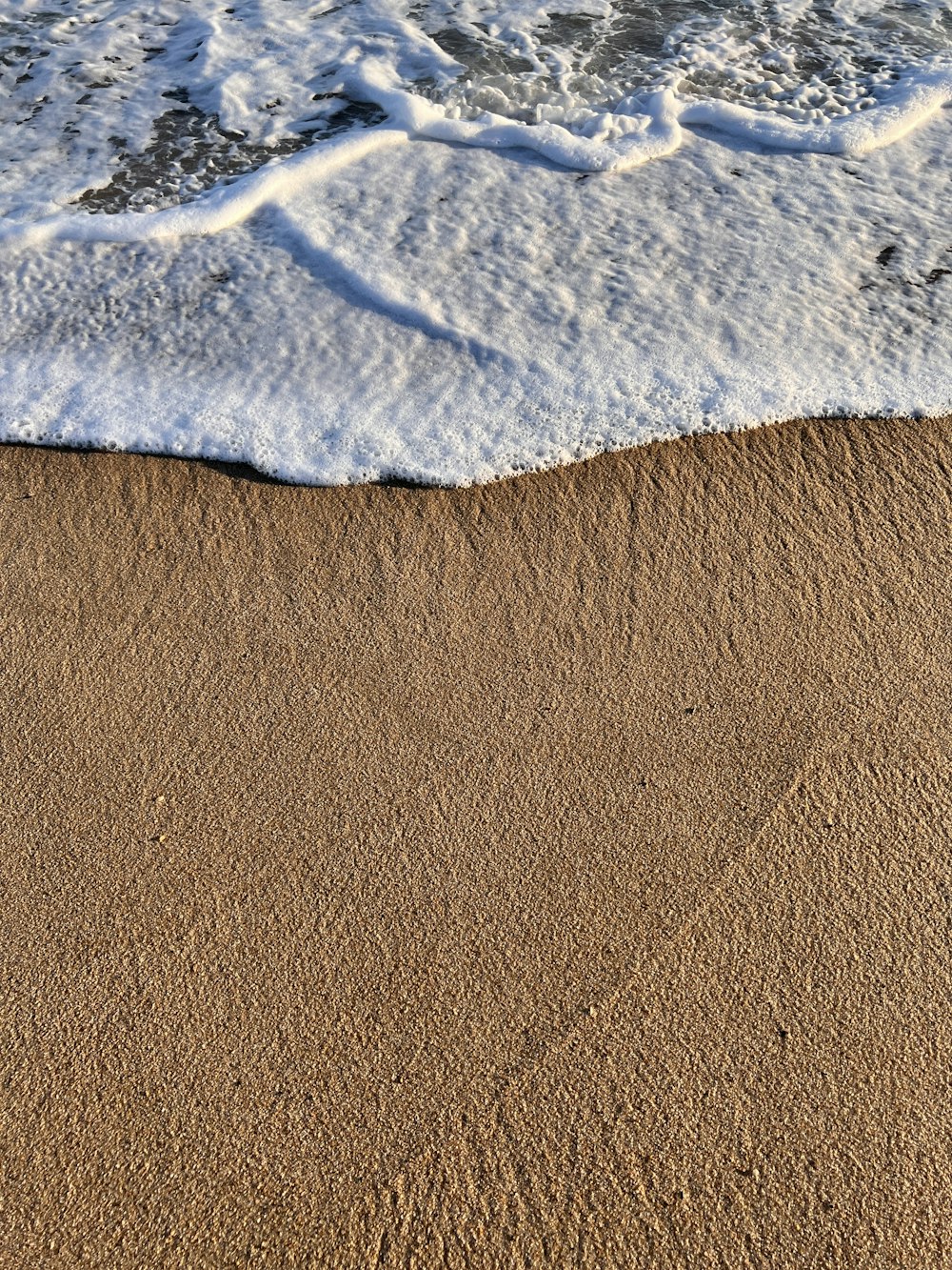 a close up of a beach