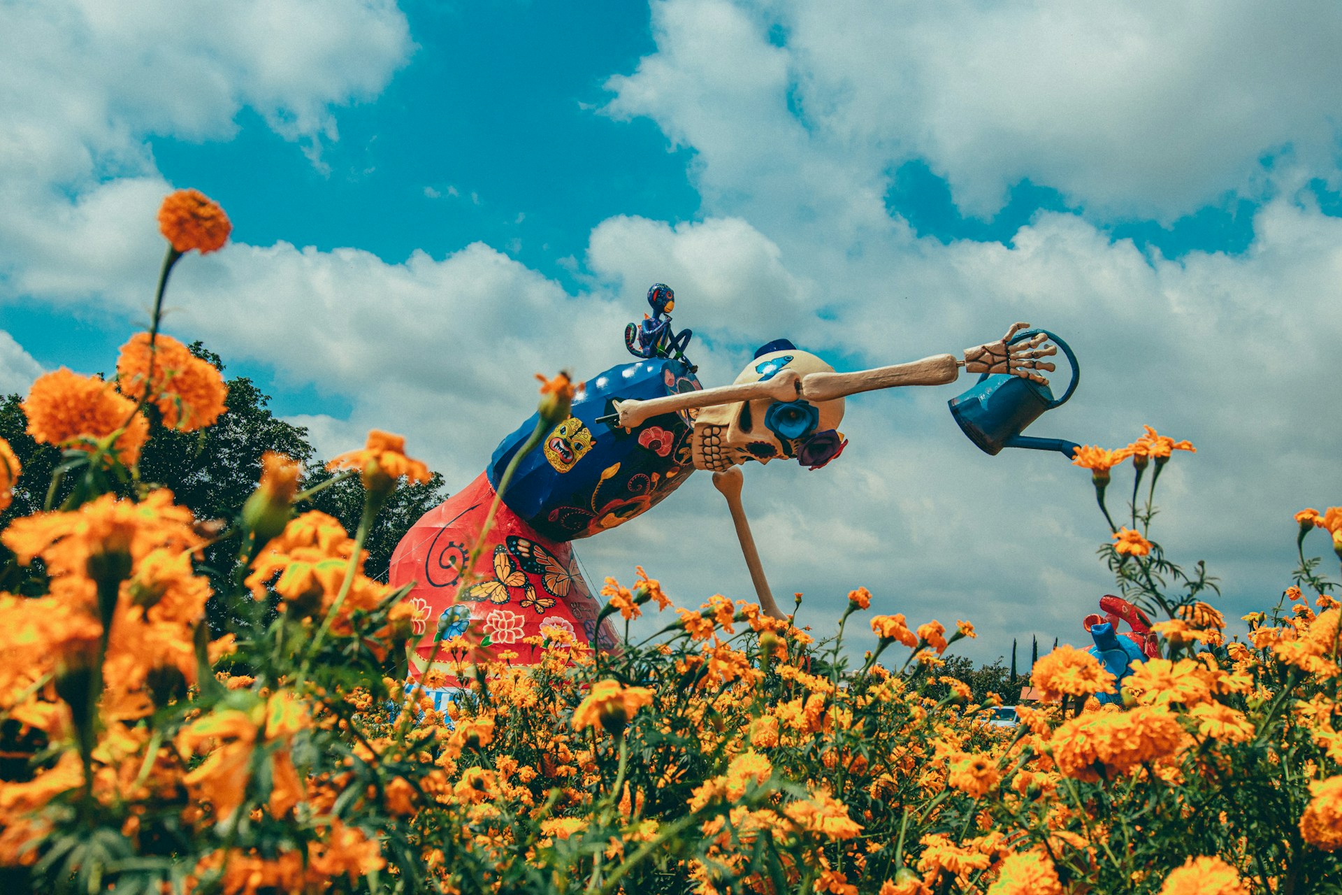 a person in a garment in a field of flowers