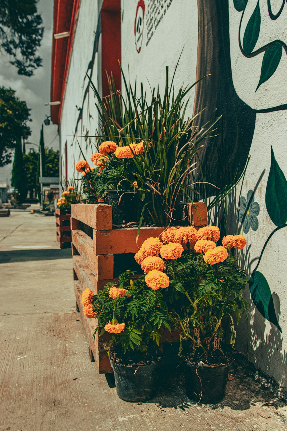 a group of flowers in a planter