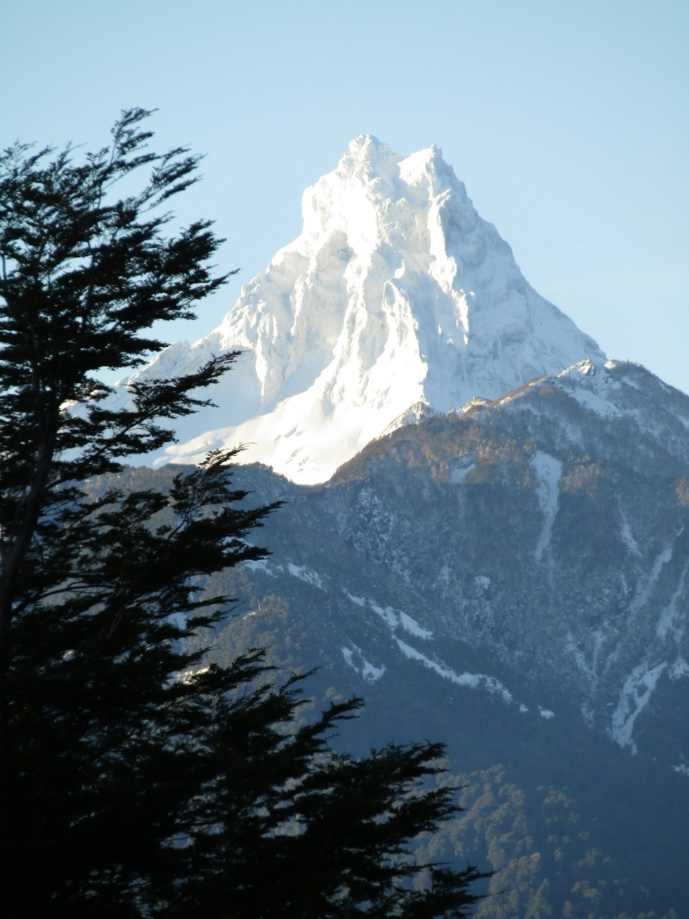 a snowy mountain with trees