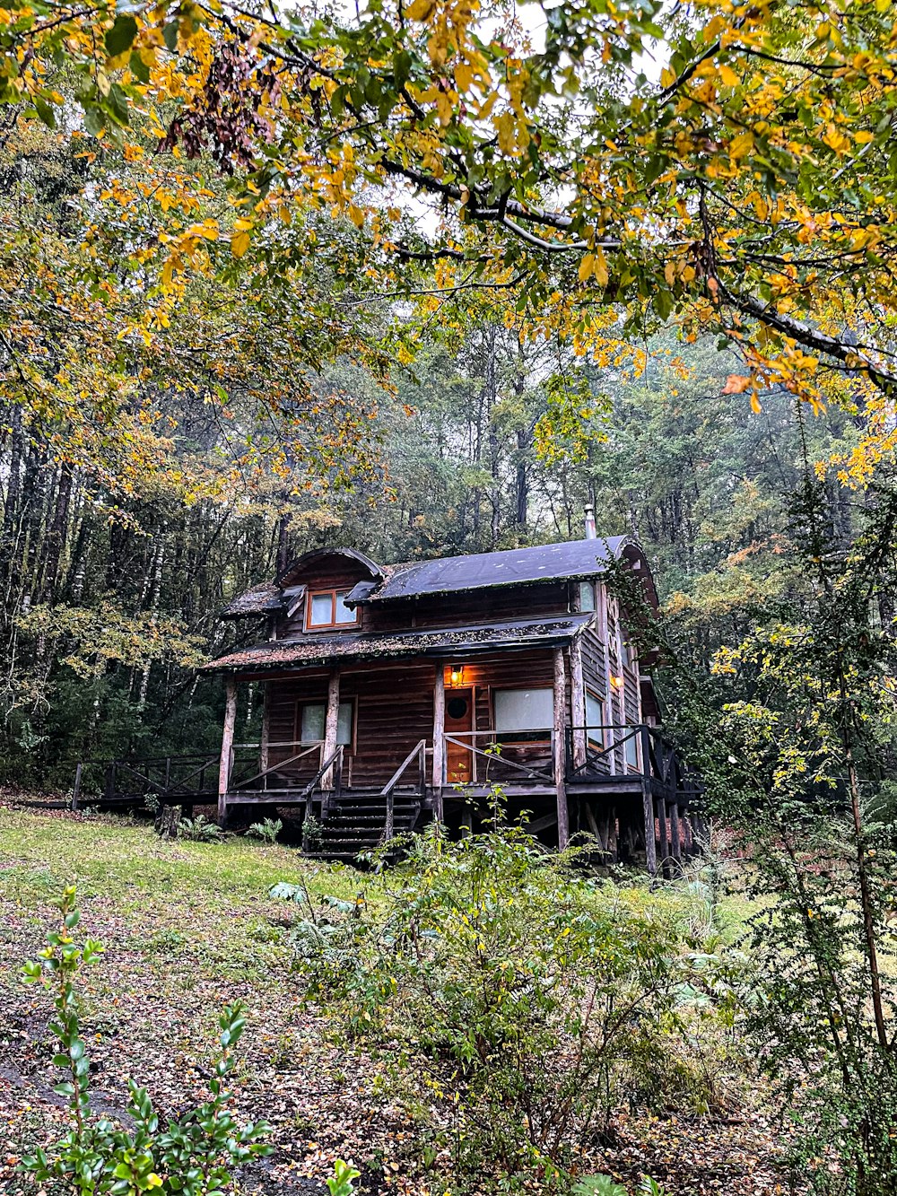 a house in the woods