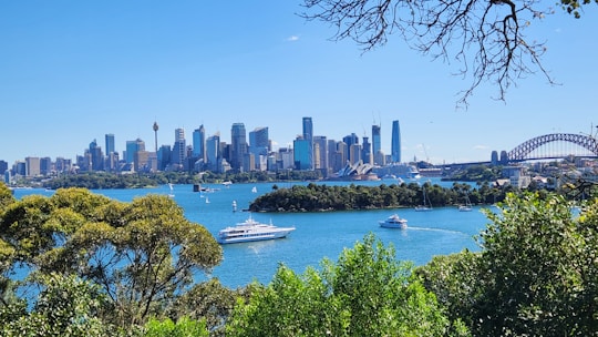 A clear view of a vibrant city skyline with a variety of modern skyscrapers seen across a body of water. Several boats and yachts are sailing on the blue waters. The iconic structure of the Sydney Opera House is visible along with the Sydney Harbour Bridge. Lush green trees frame the foreground of the image, adding a natural contrast to the urban elements.