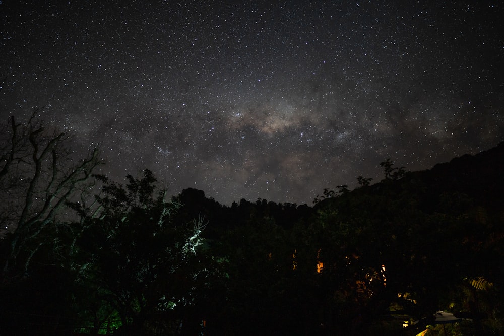 Ein Nachthimmel mit Bäumen und Sternen