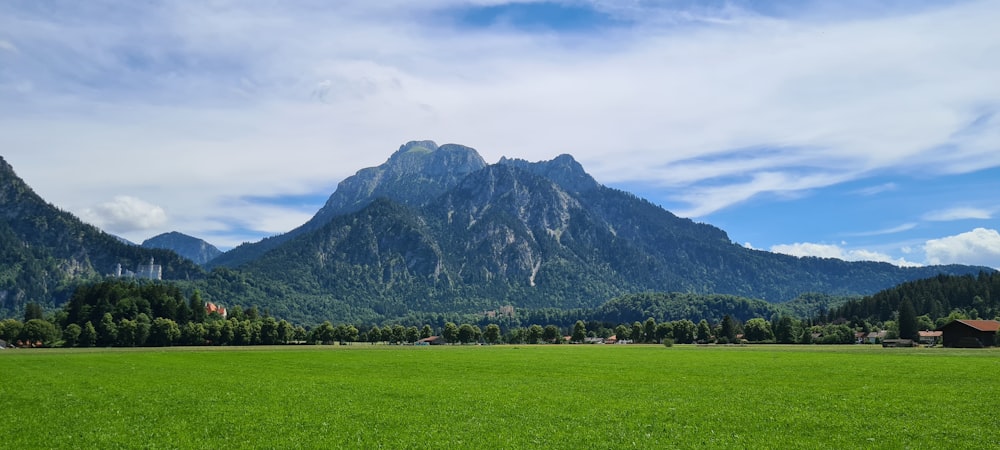 a large green field with a mountain in the background