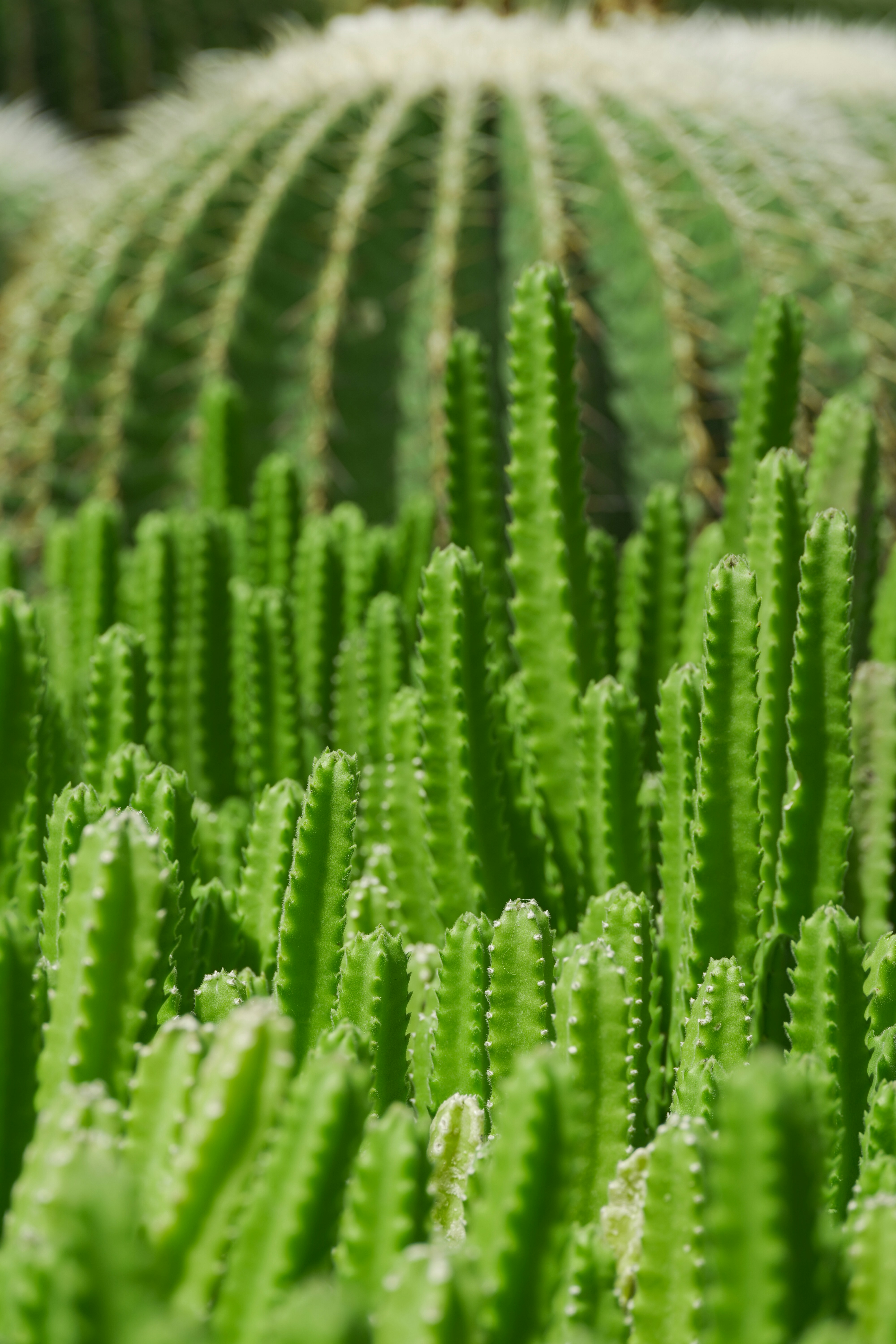 Photo by msz010dzeta