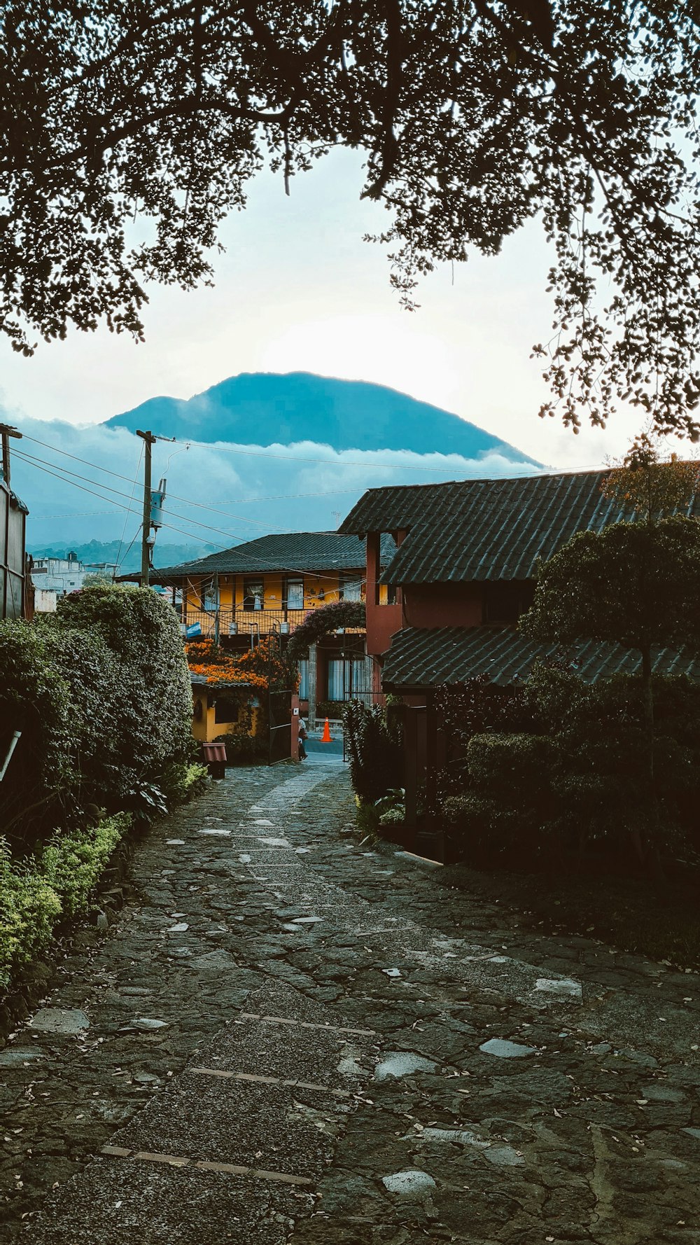 a cobblestone street with houses on either side of it