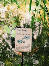 A sign is placed amidst greenery, featuring illustrations of fish and a wave. The text on the sign reads: 'Fish Pond. Our fish pond is a source of water for our garden. The fish also help create fertilizer.' The reflection of the surrounding plants is visible on the water surface, creating a lush and natural background.