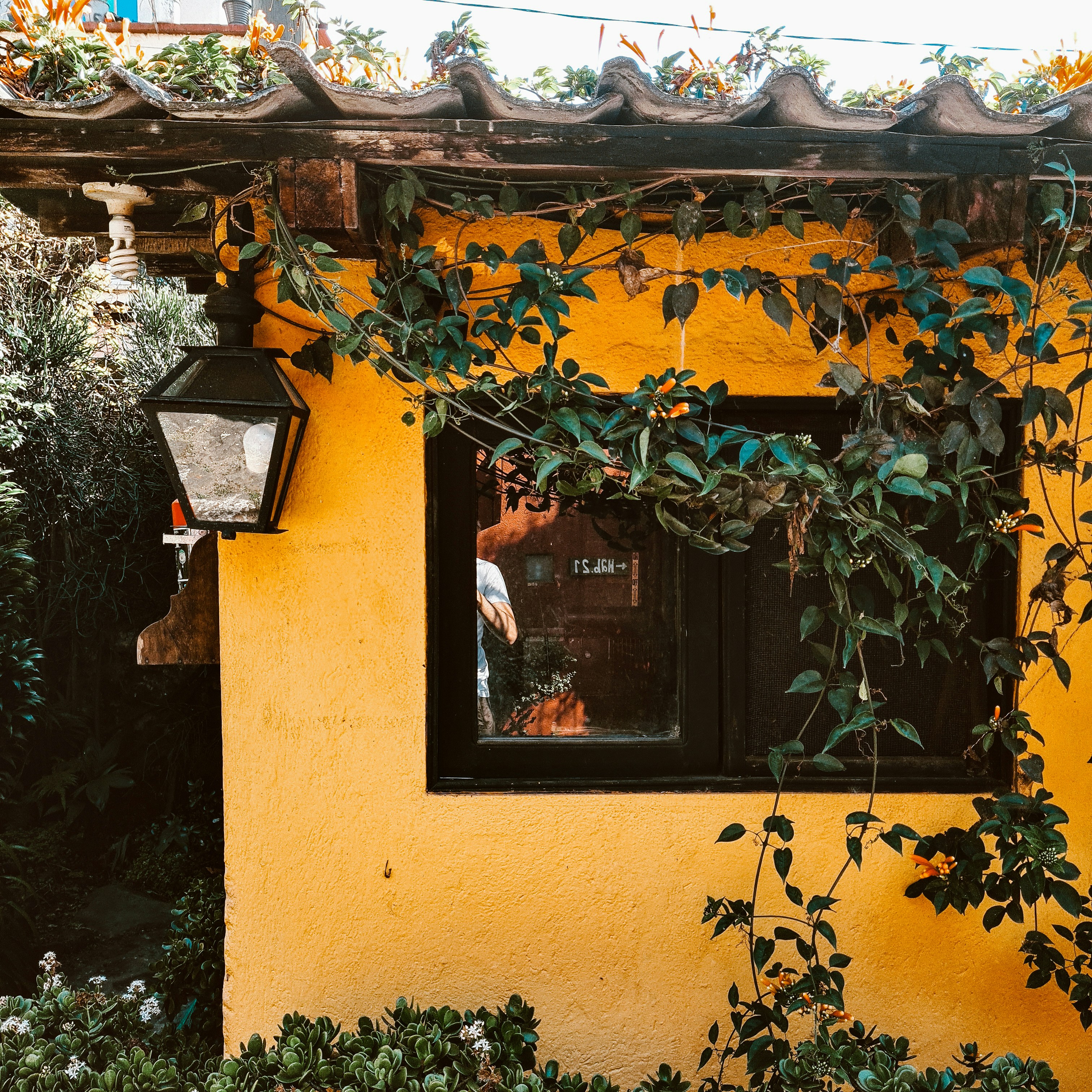 Photo by stephenmont