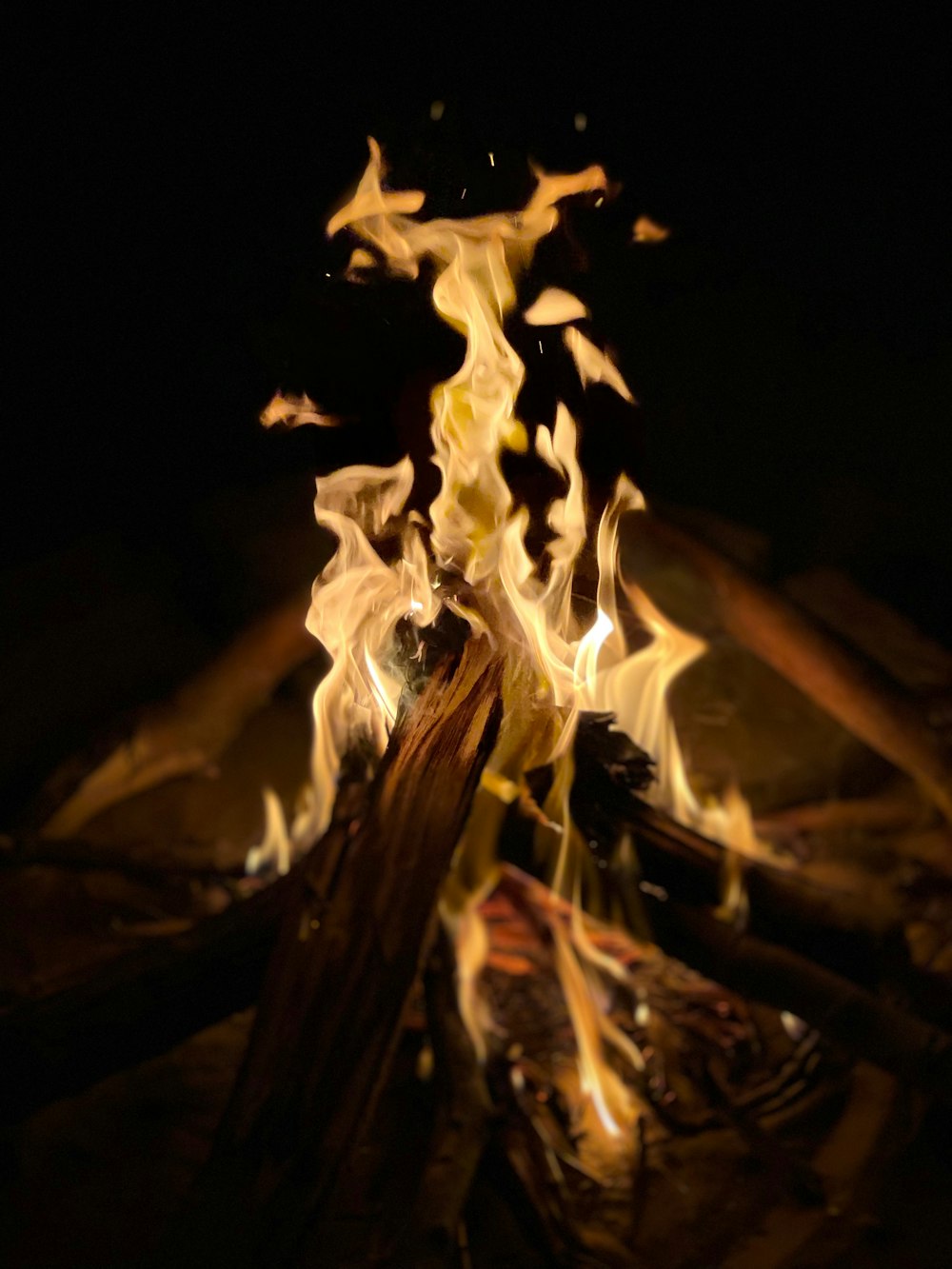 a close-up of a bonfire