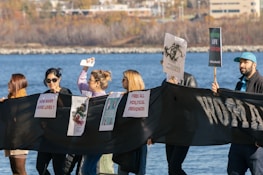 A peaceful protest with people holding signs advocating for democratic rights.