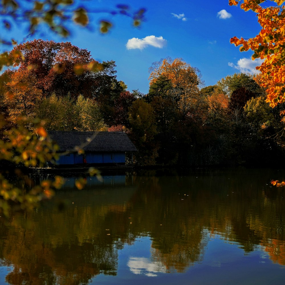 a house on a lake surrounded by trees