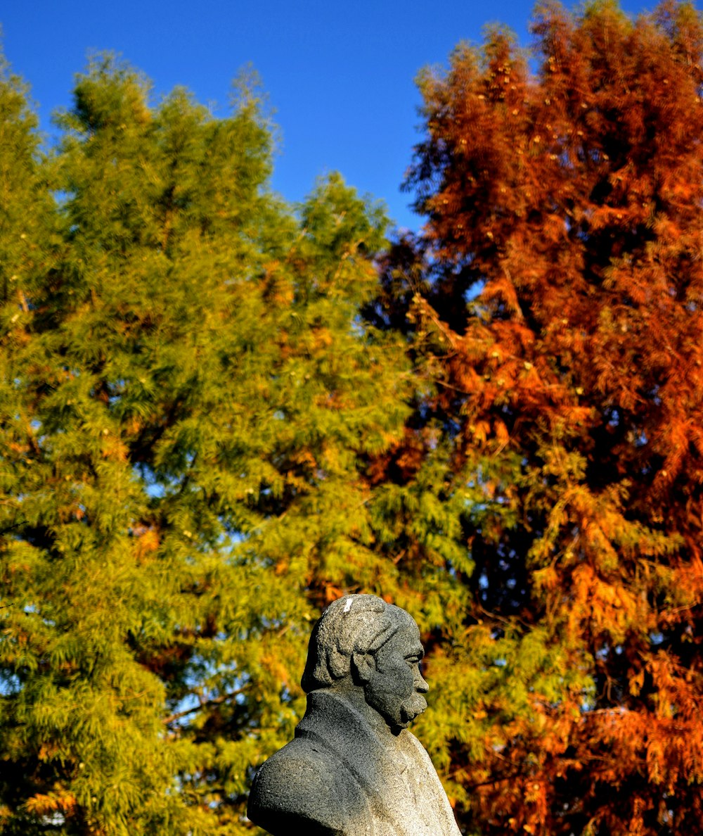 a statue of a person in front of trees