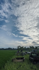 A collection of abandoned vehicles is scattered in a lush green field under a sky filled with cloud patterns. The grass is tall and vibrant, surrounded by trees.