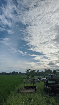 A collection of abandoned vehicles is scattered in a lush green field under a sky filled with cloud patterns. The grass is tall and vibrant, surrounded by trees.