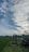A collection of abandoned vehicles is scattered in a lush green field under a sky filled with cloud patterns. The grass is tall and vibrant, surrounded by trees.