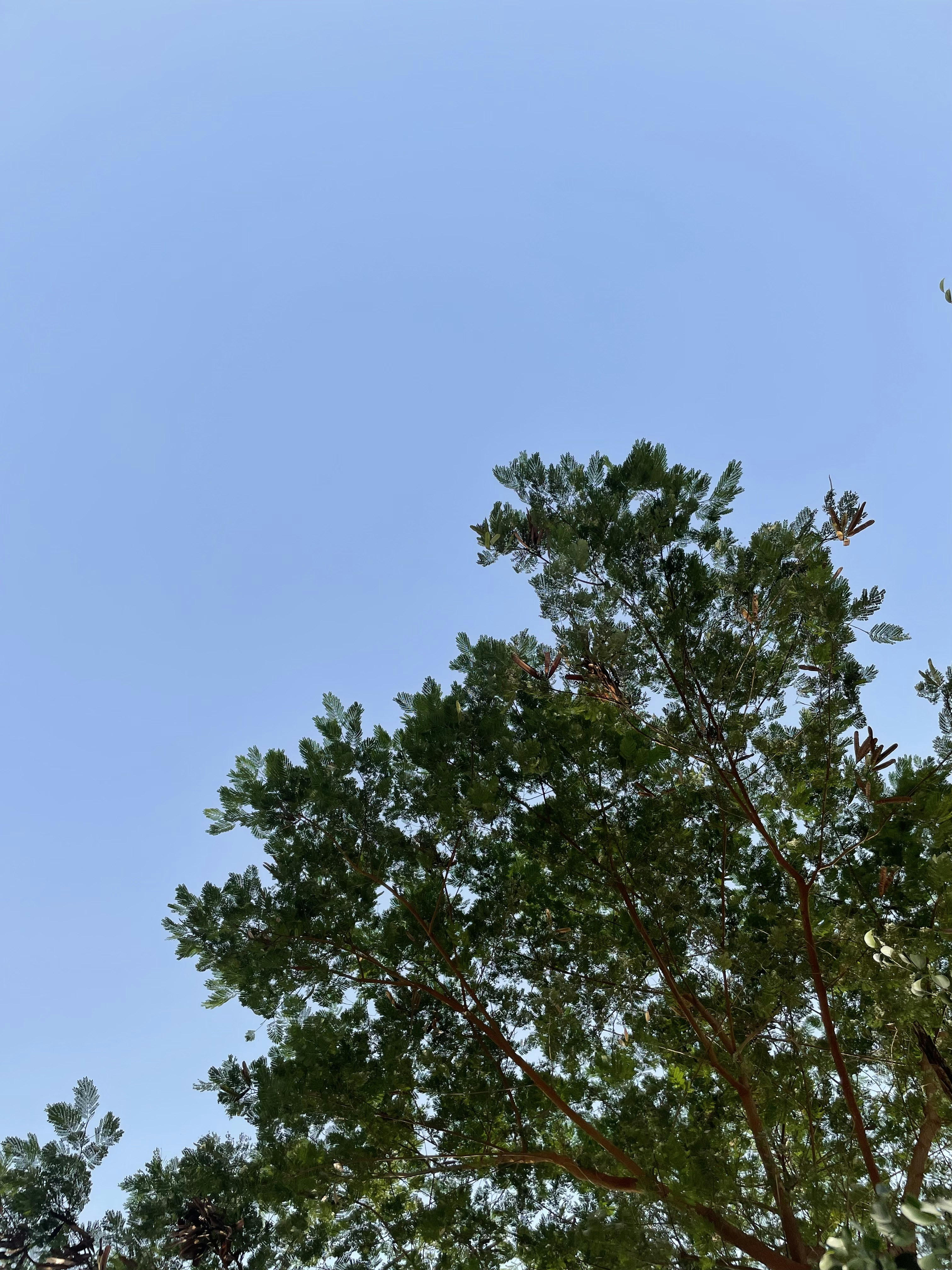 Photo by shravansutr