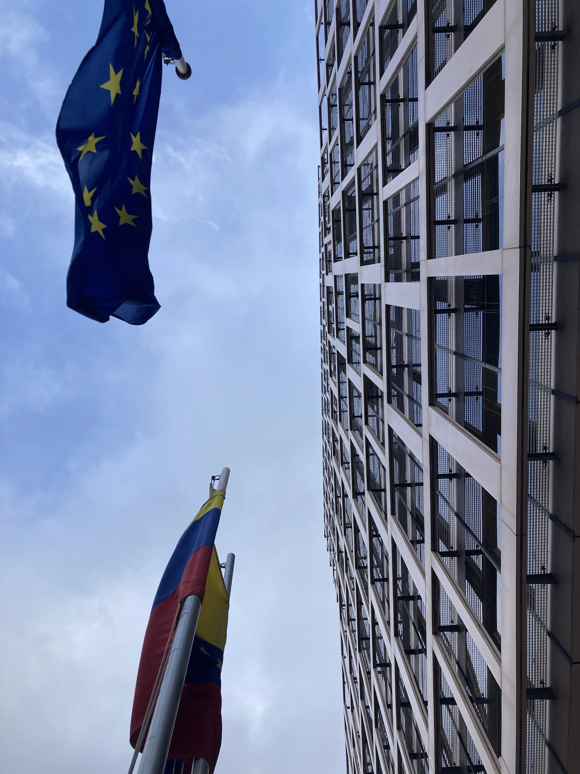 person wearing grey knit sweater