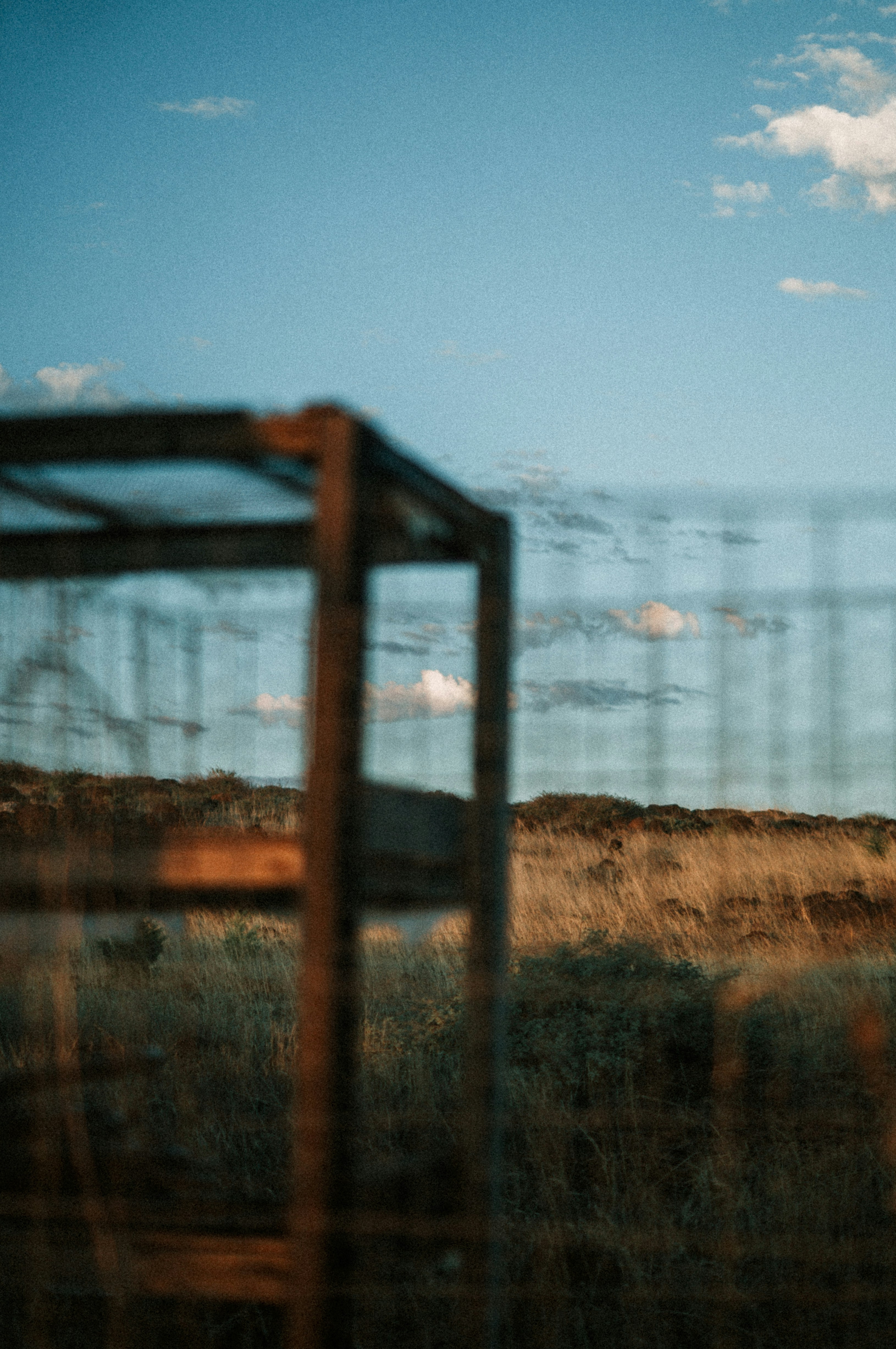 Photo by milo_contreras