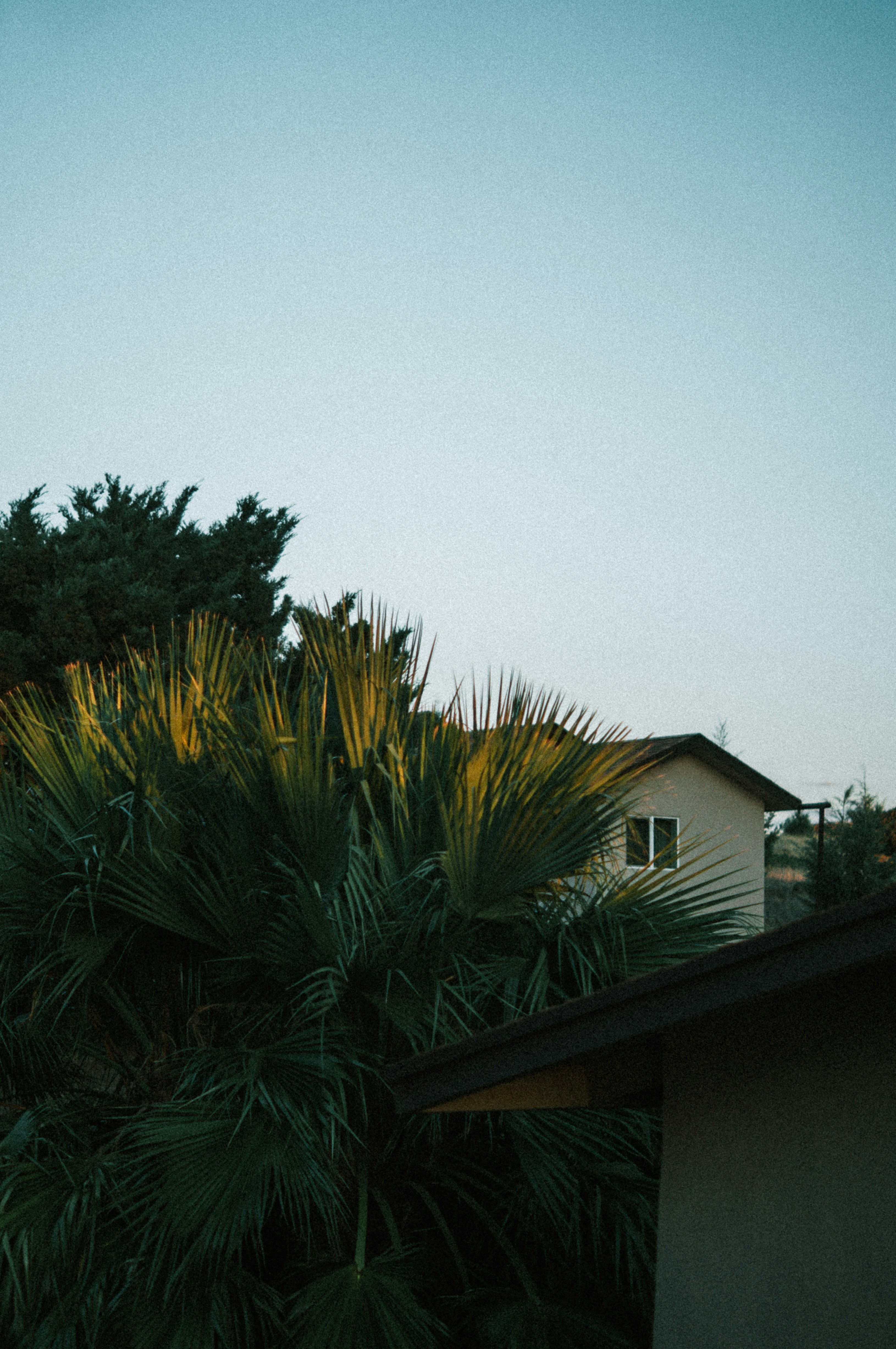 Photo by milo_contreras