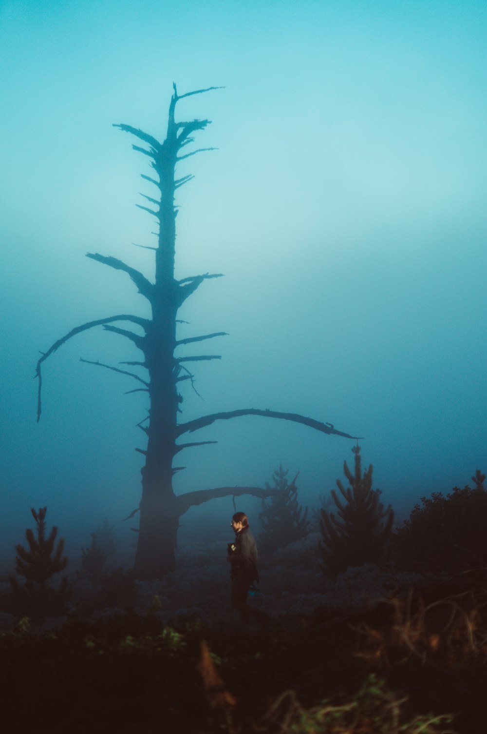 a person standing in a field with a plant in the back