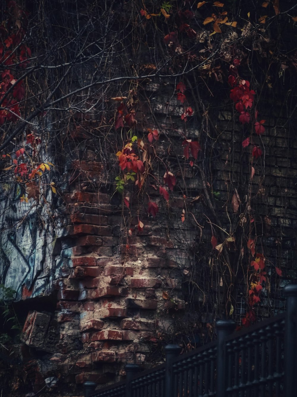eine Ziegelmauer mit roten Blättern