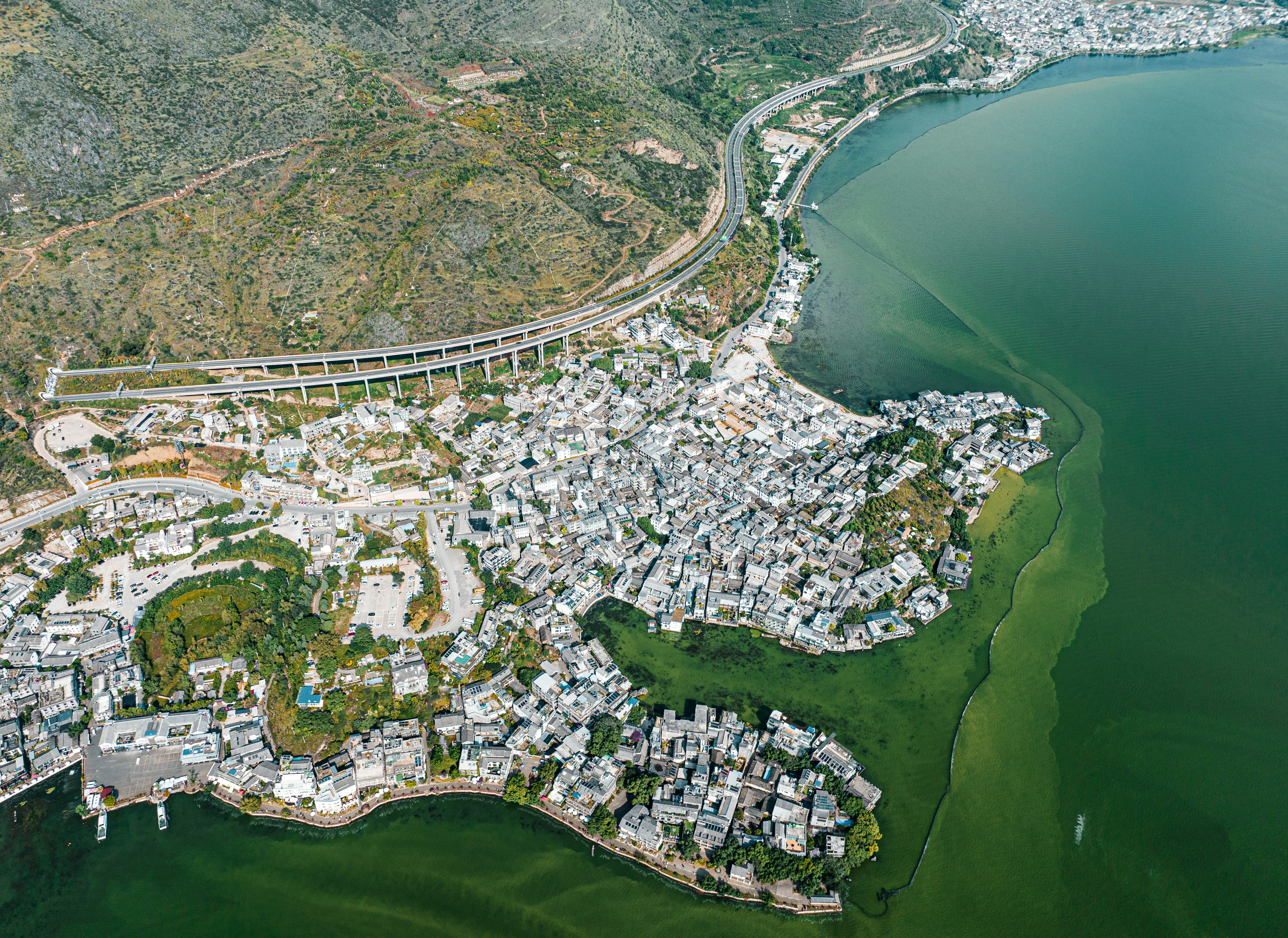 Photo by juniperphoton