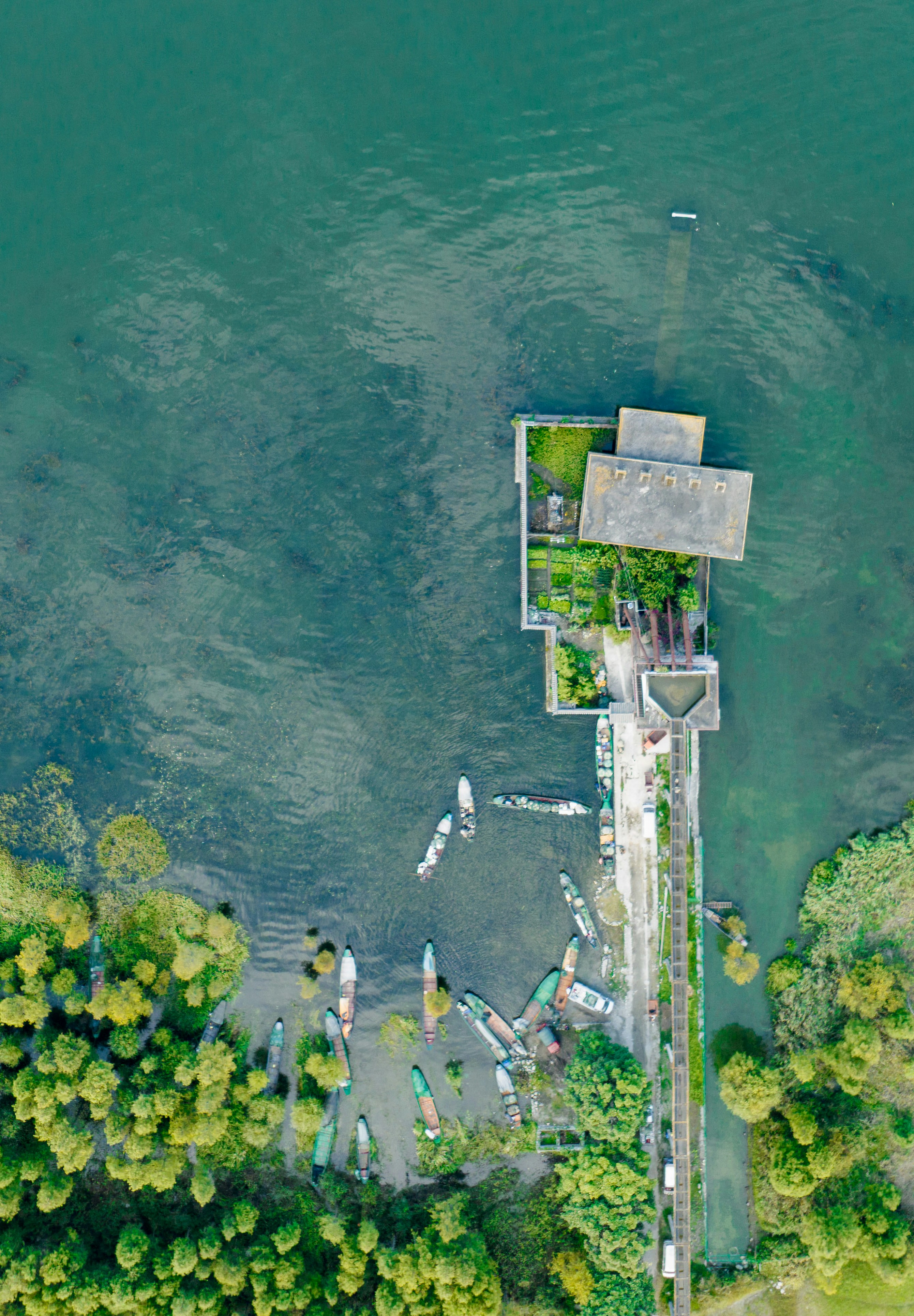 Photo by juniperphoton