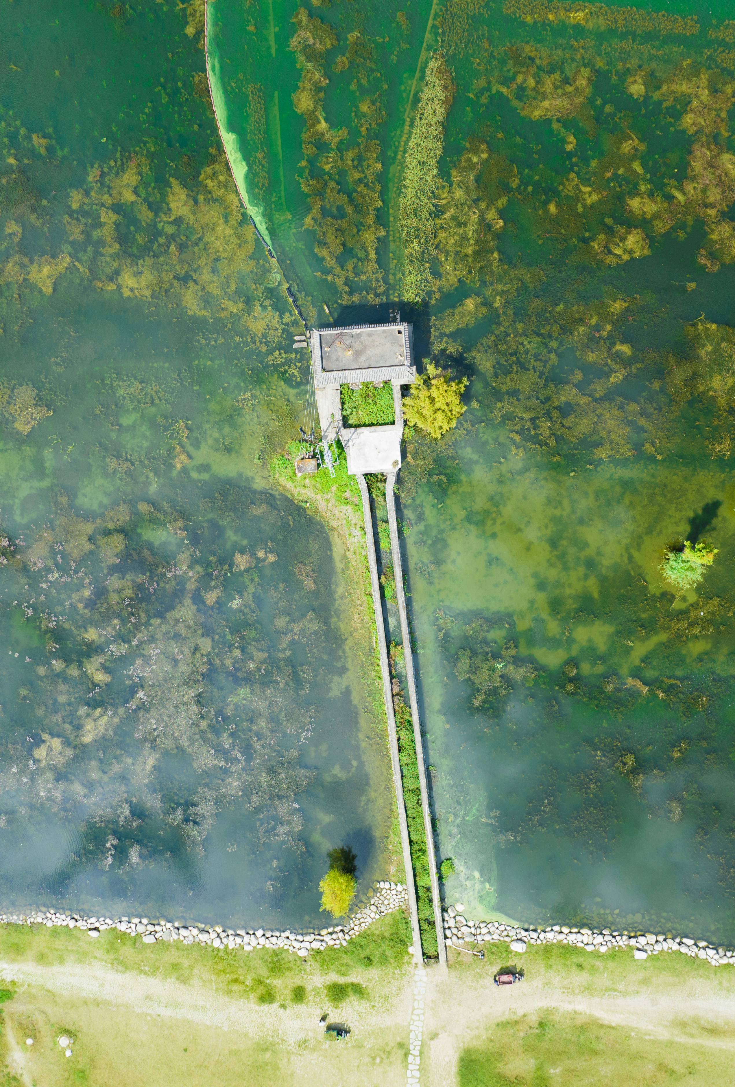 Photo by juniperphoton